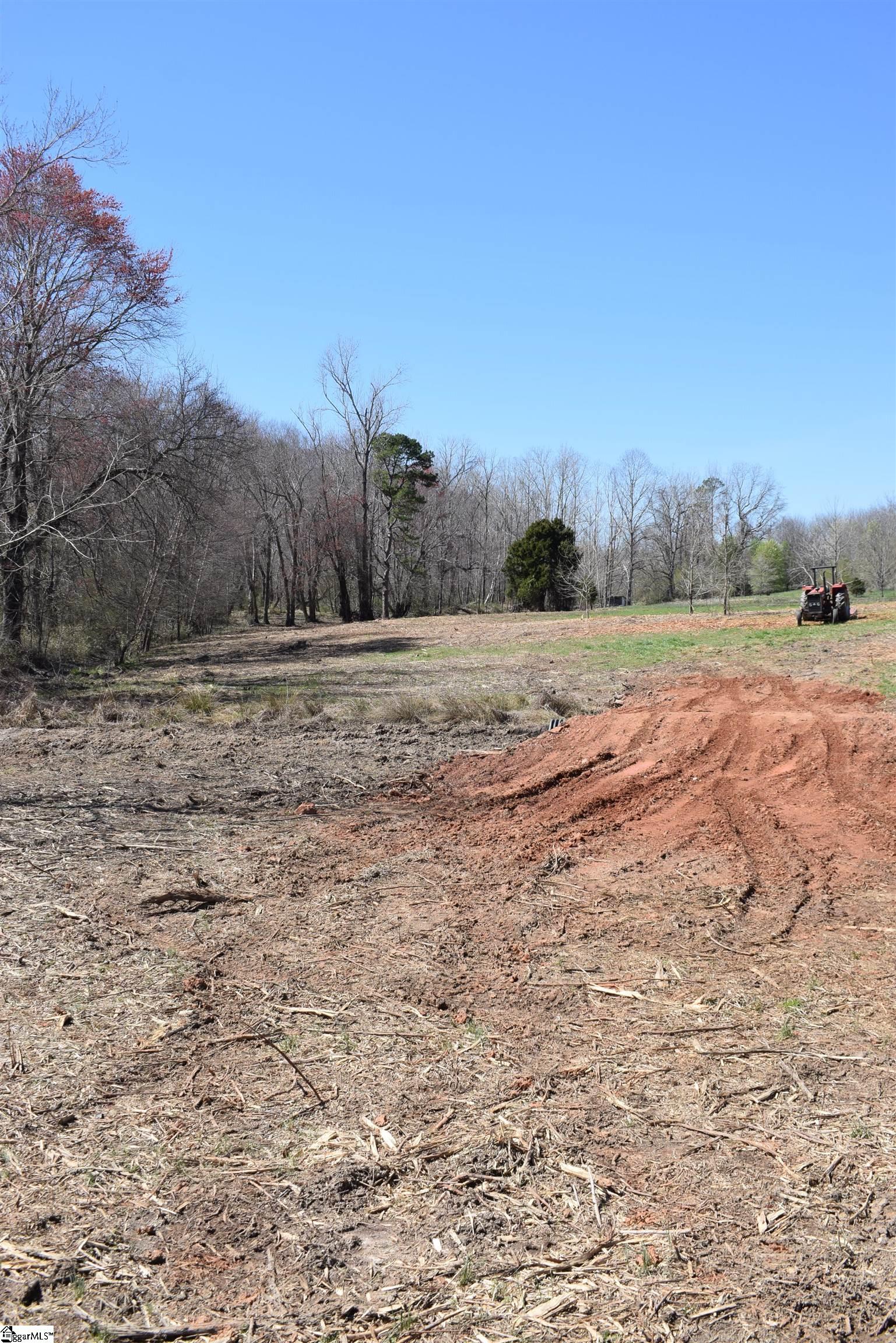 Prince Road UNIT Lot 4 Columbus, NC 28722-6507