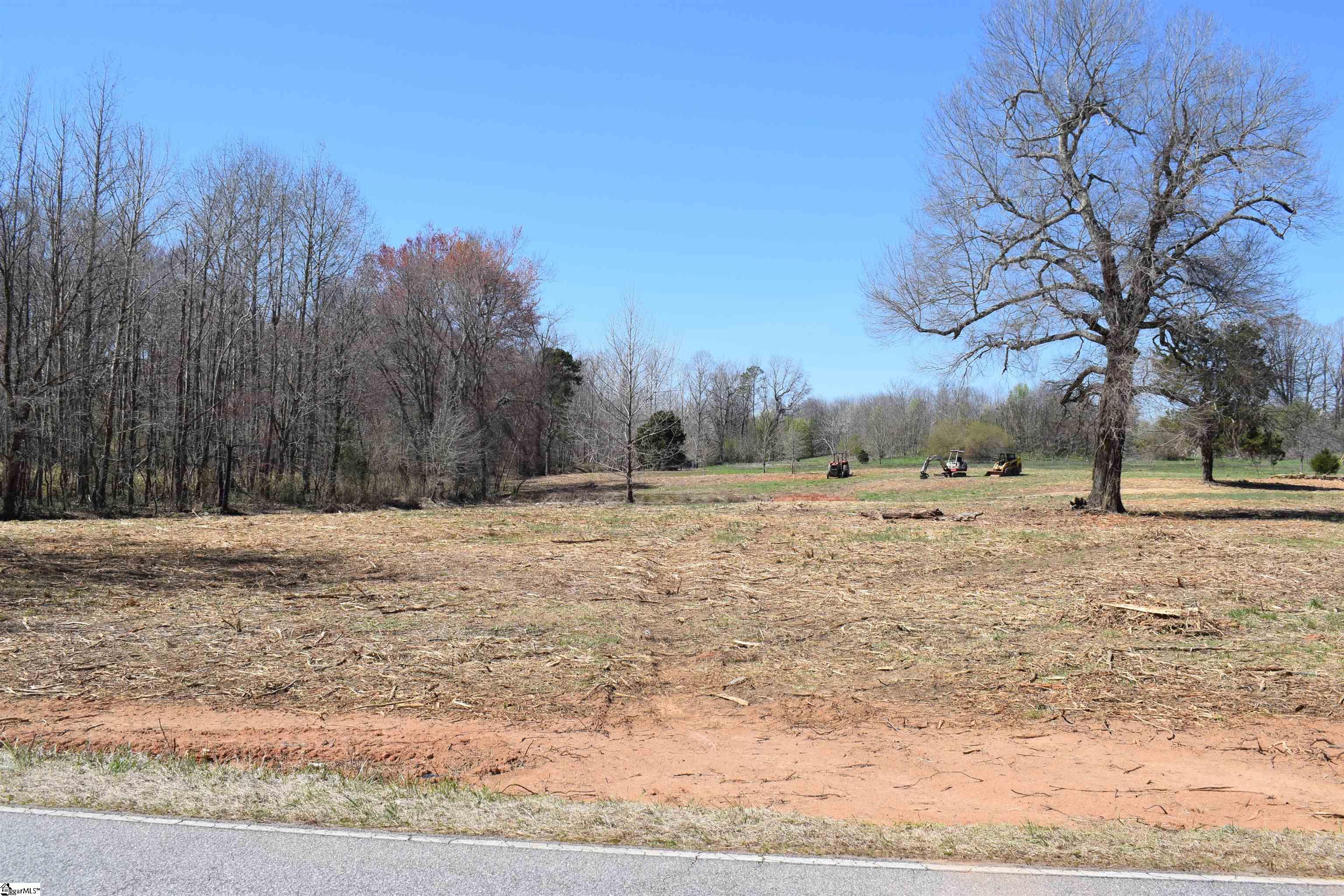 Prince Road UNIT Lot 4 Columbus, NC 28722-6507
