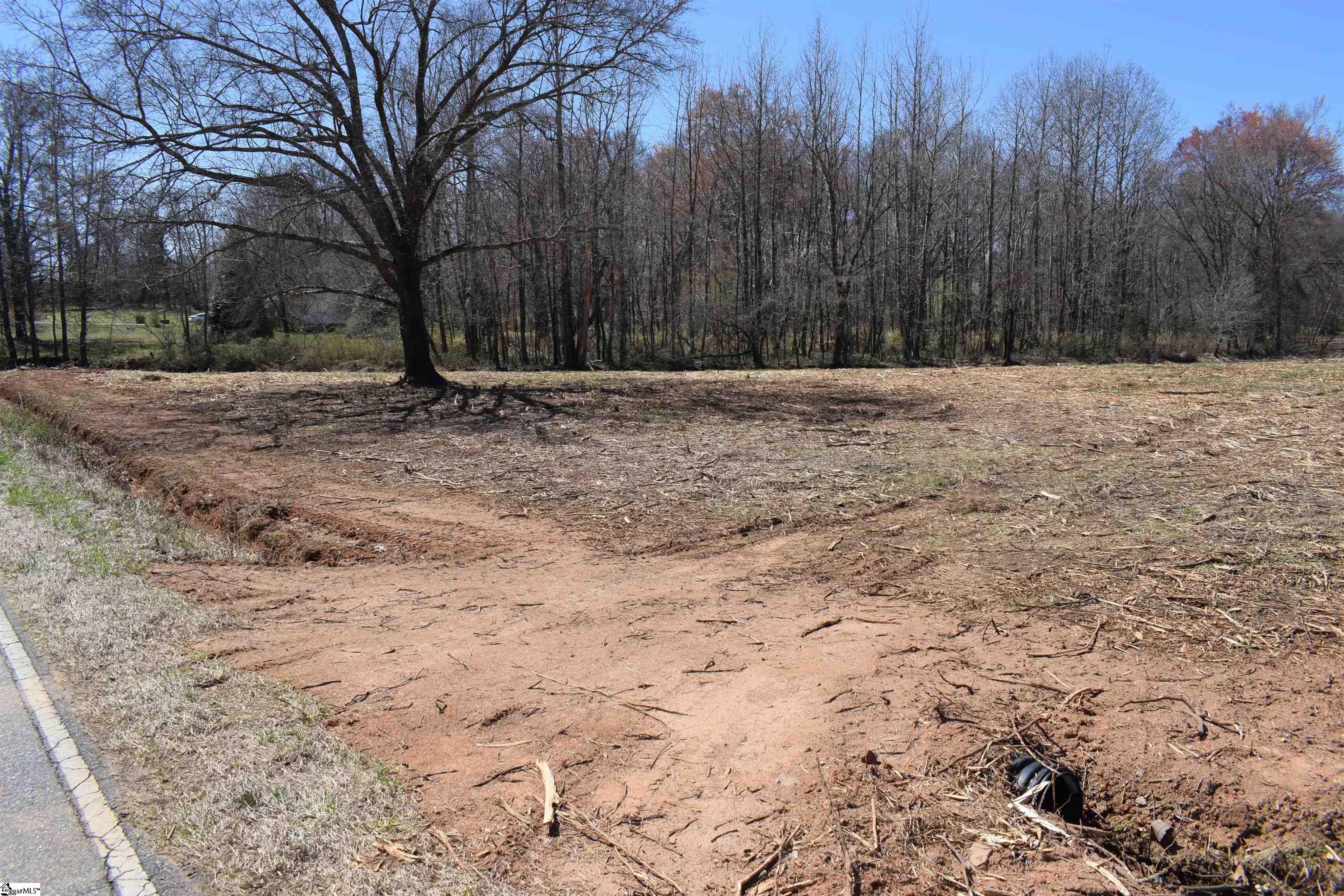 Prince Road UNIT Lot 4 Columbus, NC 28722-6507