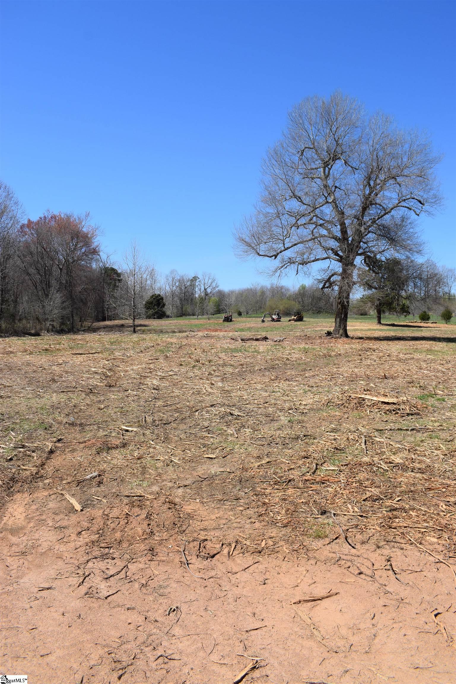 Prince Road UNIT Lot 4 Columbus, NC 28722-6507