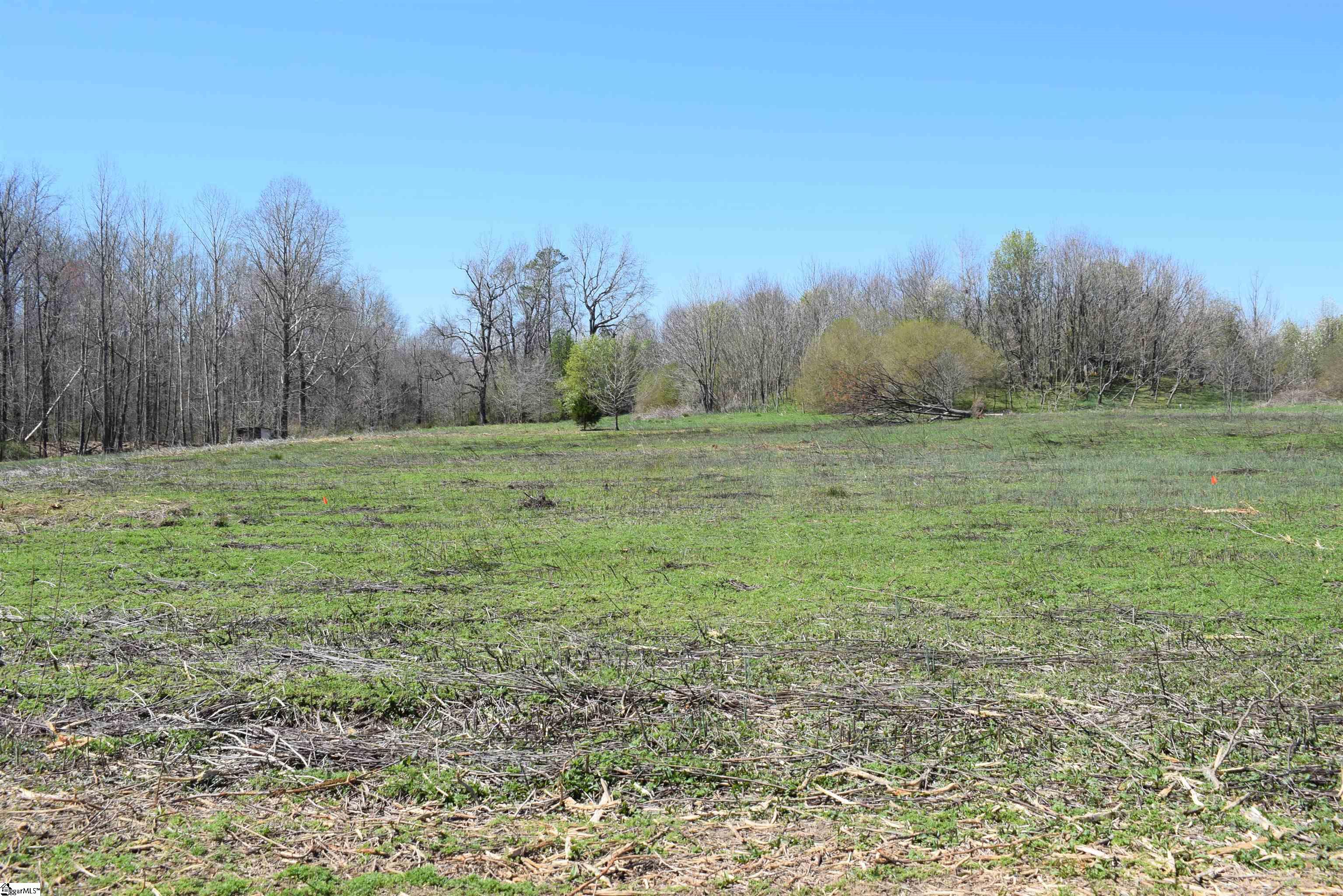 Prince Road UNIT Lot 4 Columbus, NC 28722-6507