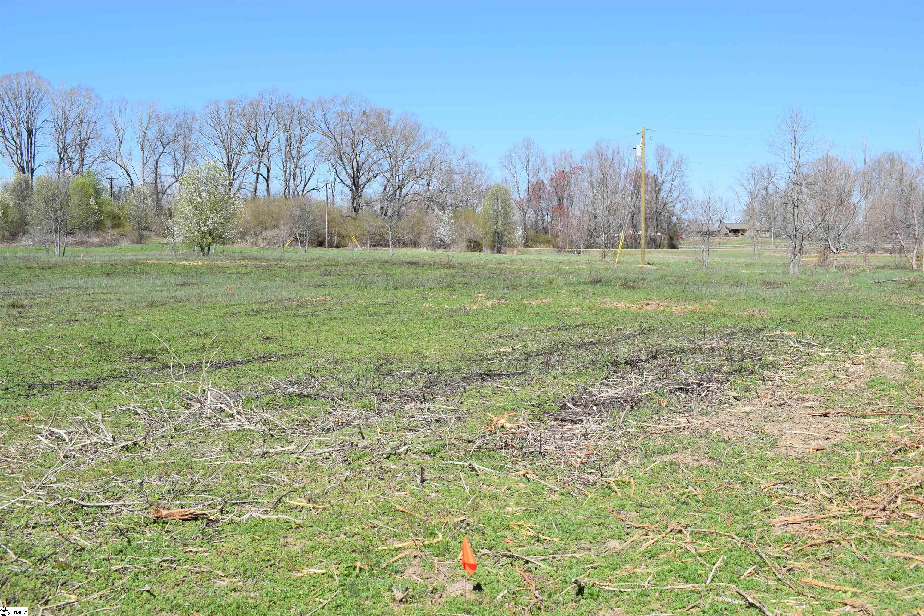 Prince Road UNIT Lot 4 Columbus, NC 28722-6507