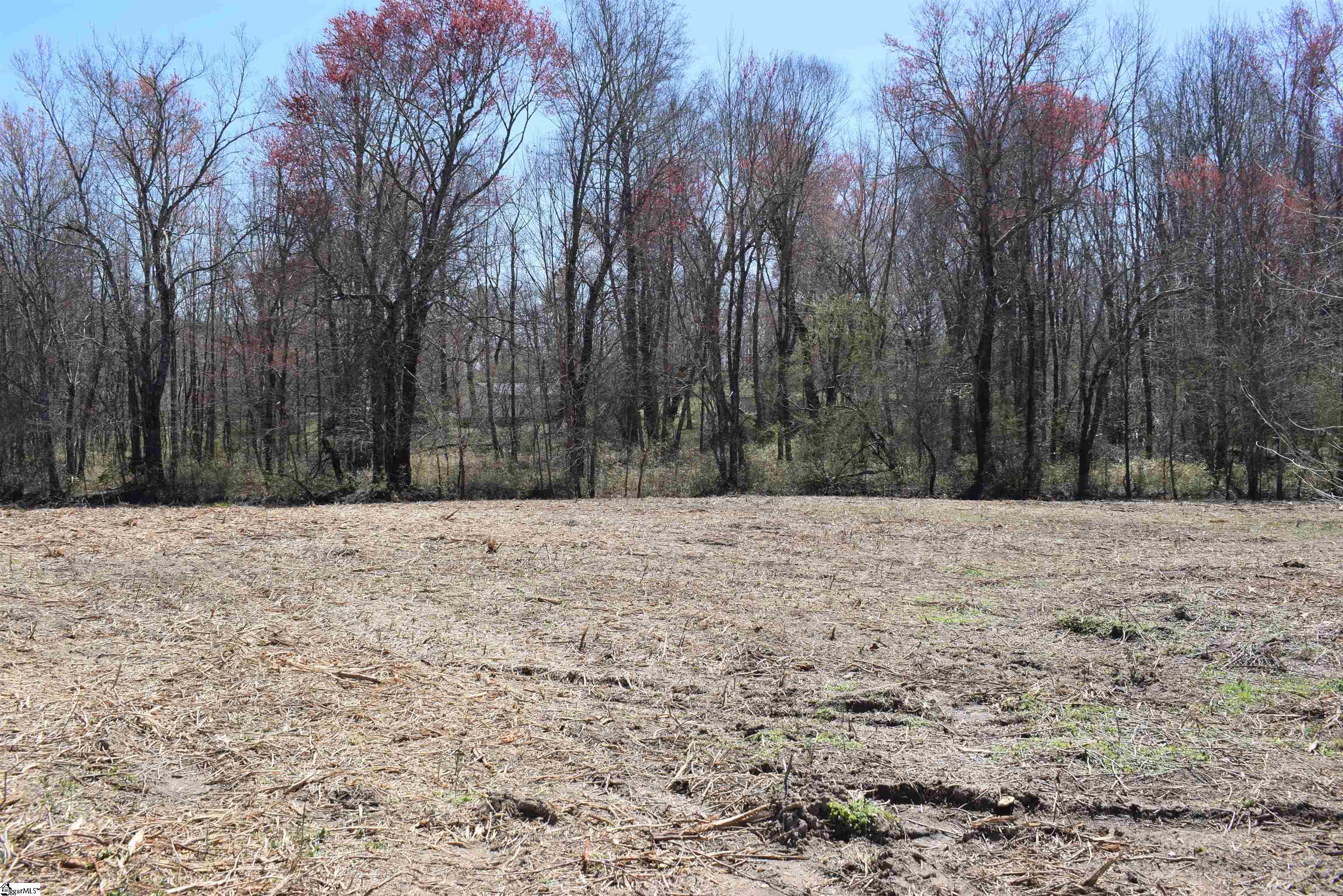 Prince Road UNIT Lot 4 Columbus, NC 28722-6507
