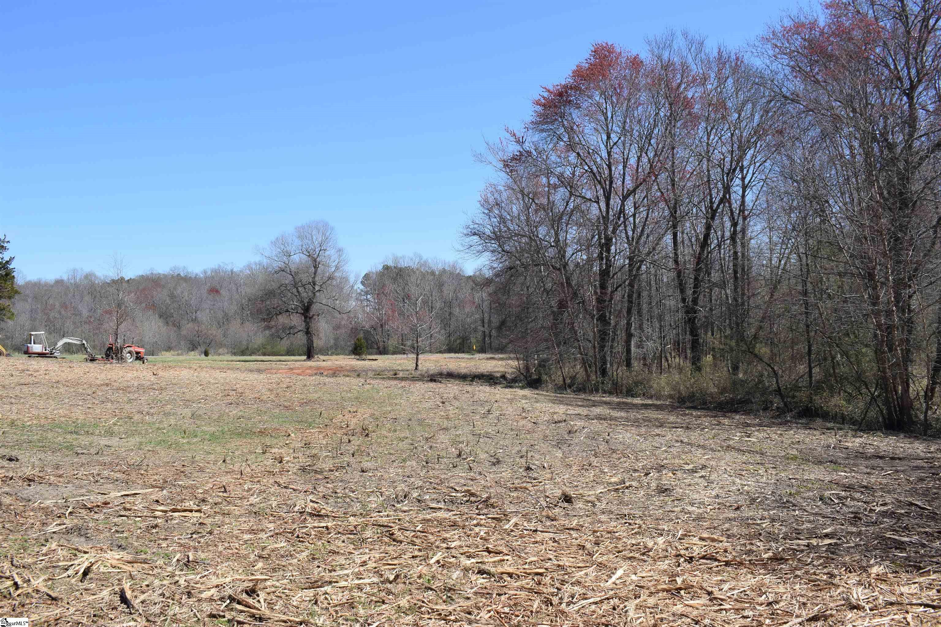 Prince Road UNIT Lot 4 Columbus, NC 28722-6507