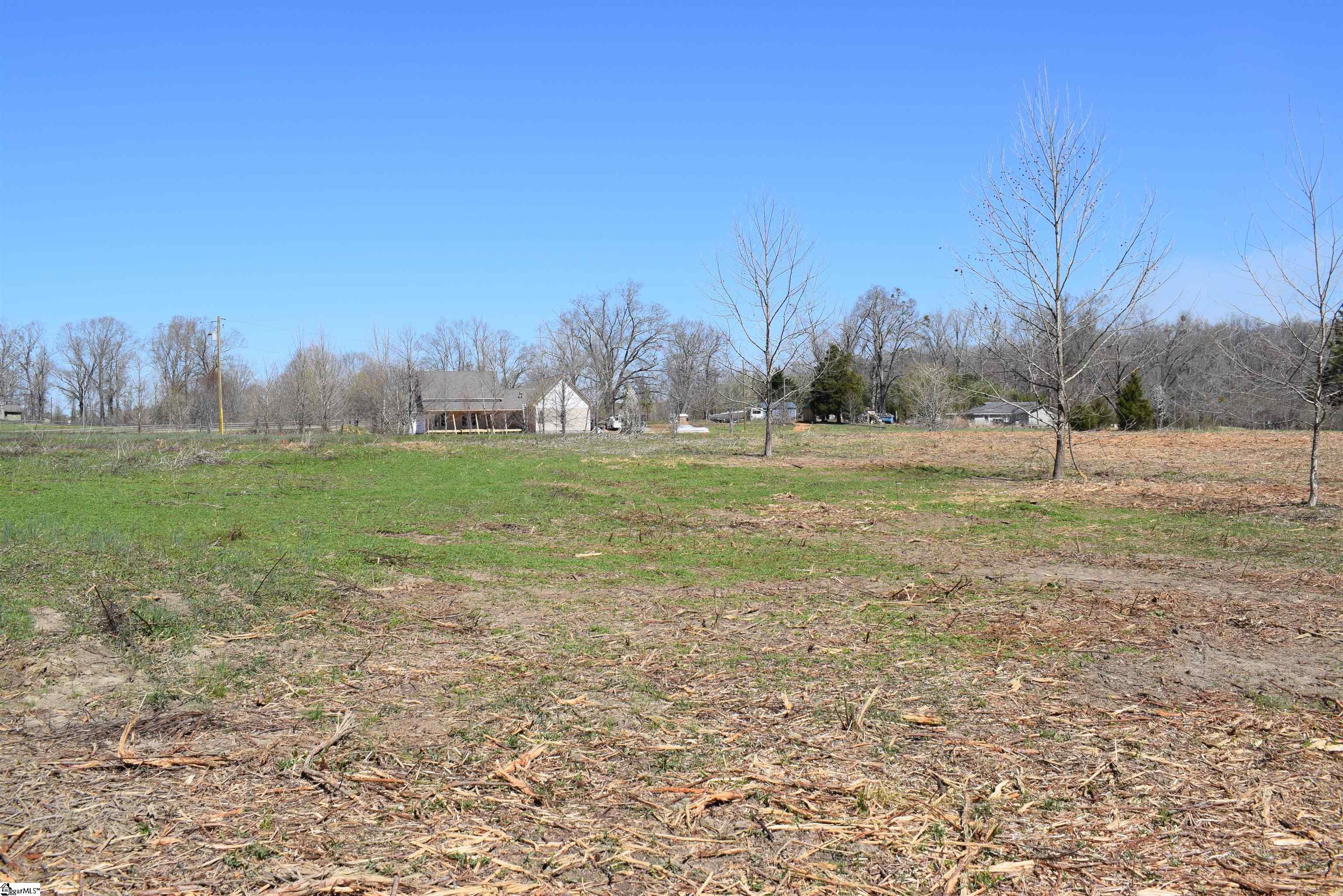 Prince Road UNIT Lot 4 Columbus, NC 28722-6507