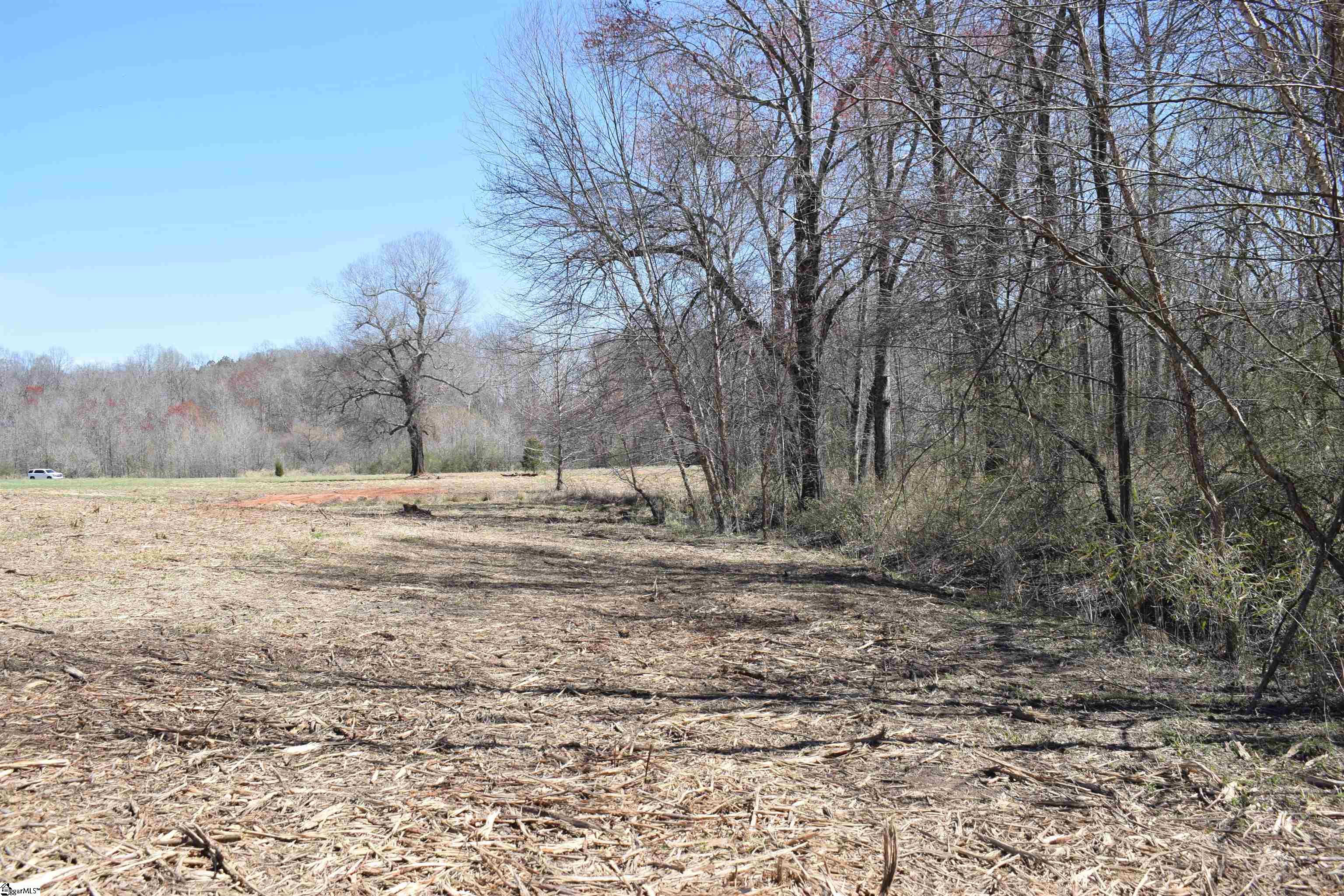 Prince Road UNIT Lot 4 Columbus, NC 28722-6507