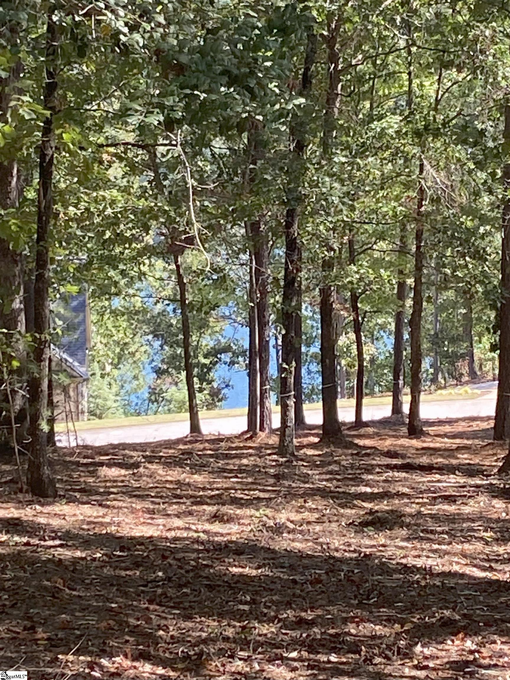 335 Long Cove Trail Salem, SC 29676