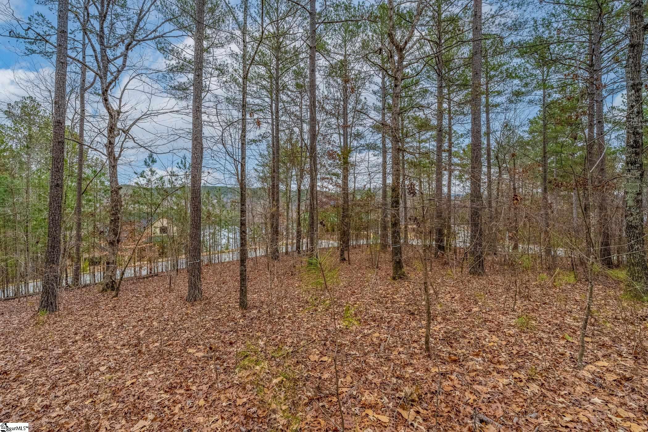 335 Long Cove Trail Salem, SC 29676