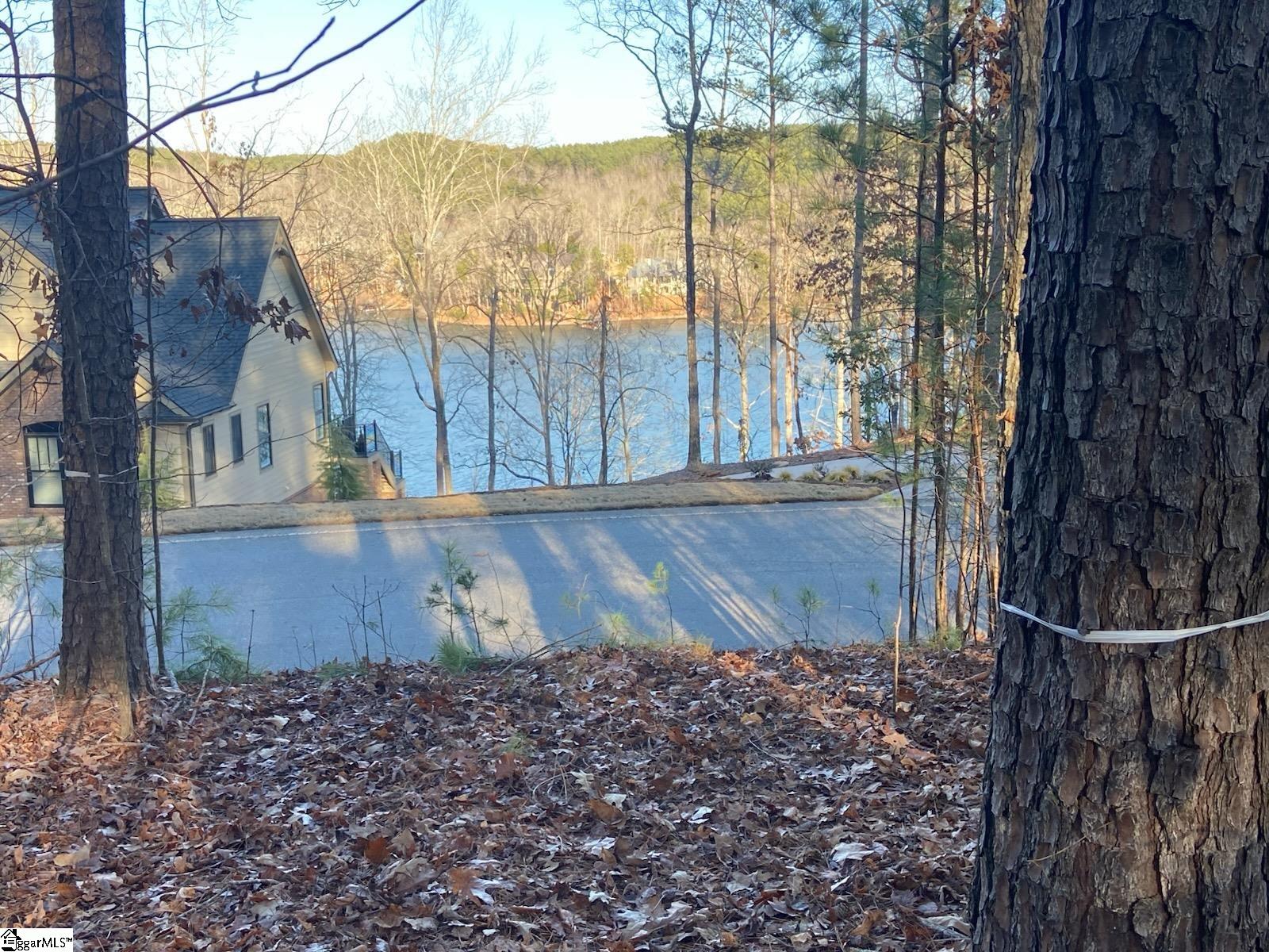335 Long Cove Trail Salem, SC 29676