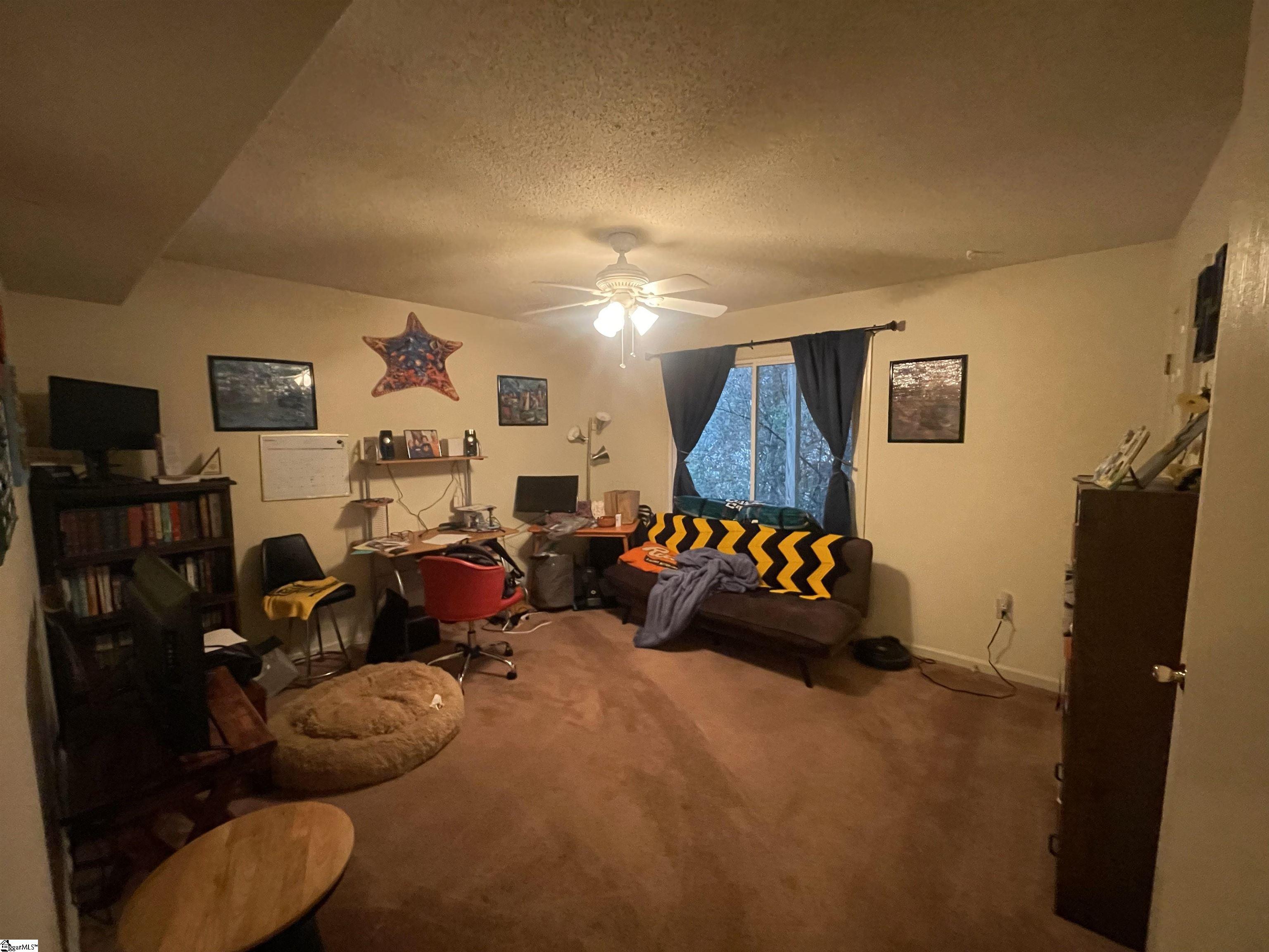 103 Calhoun Street UNIT #13 Clemson, SC 29631