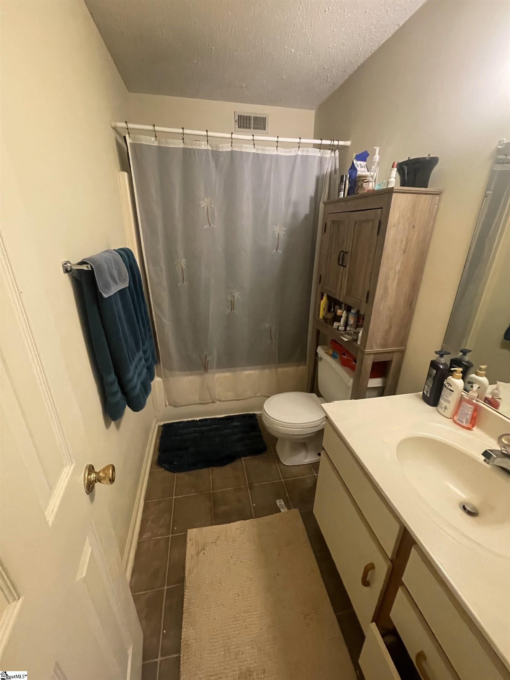 103 Calhoun Street UNIT #13 Clemson, SC 29631