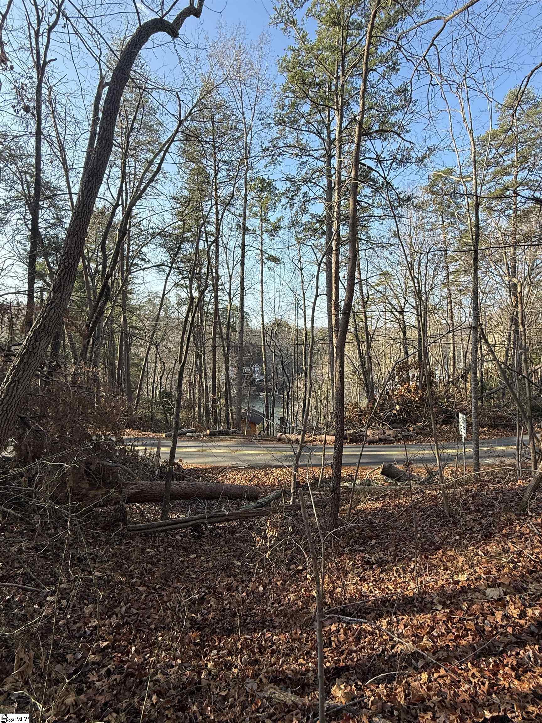 0000 W Lakeshore Drive Landrum, SC 29356