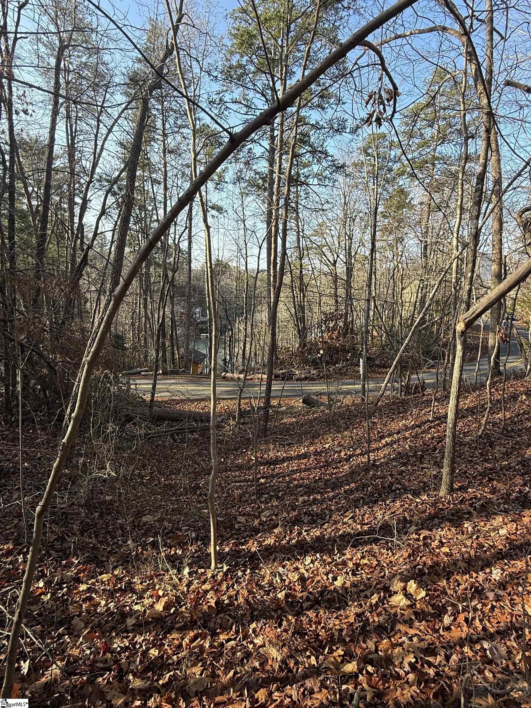 0000 W Lakeshore Drive Landrum, SC 29356