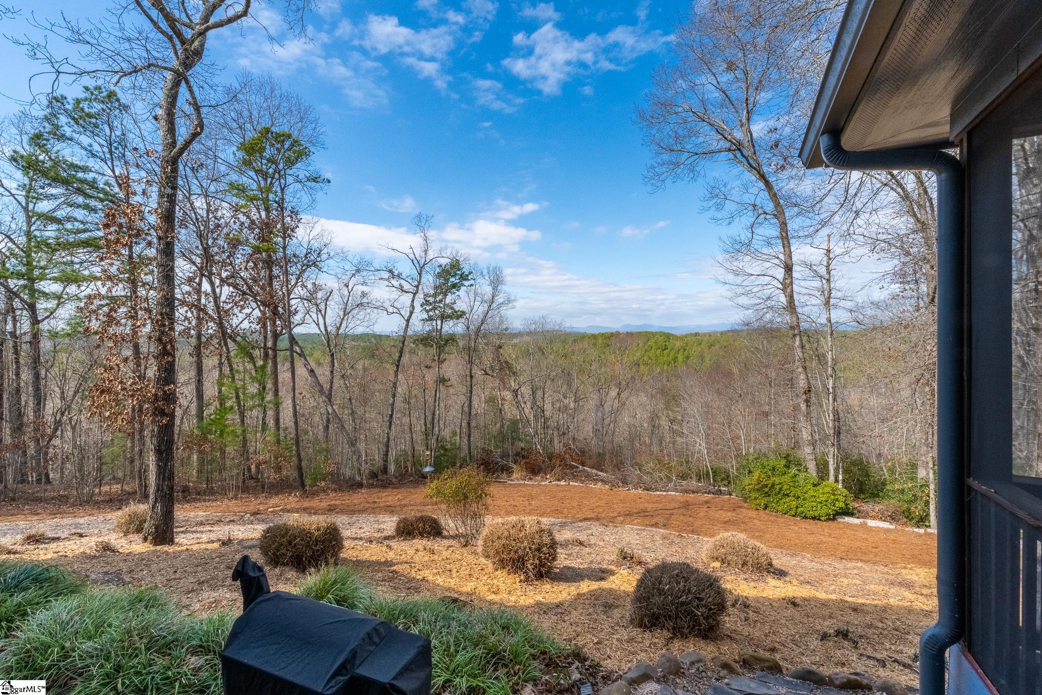 134 Ellenburg Creek Road Sunset, SC 29685
