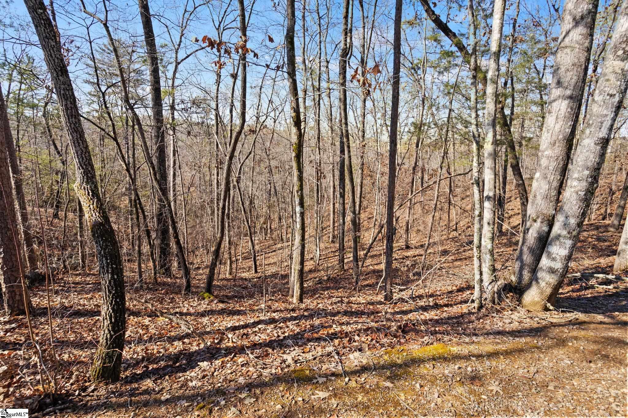 240 Jocassee Point Road Salem, SC 29676