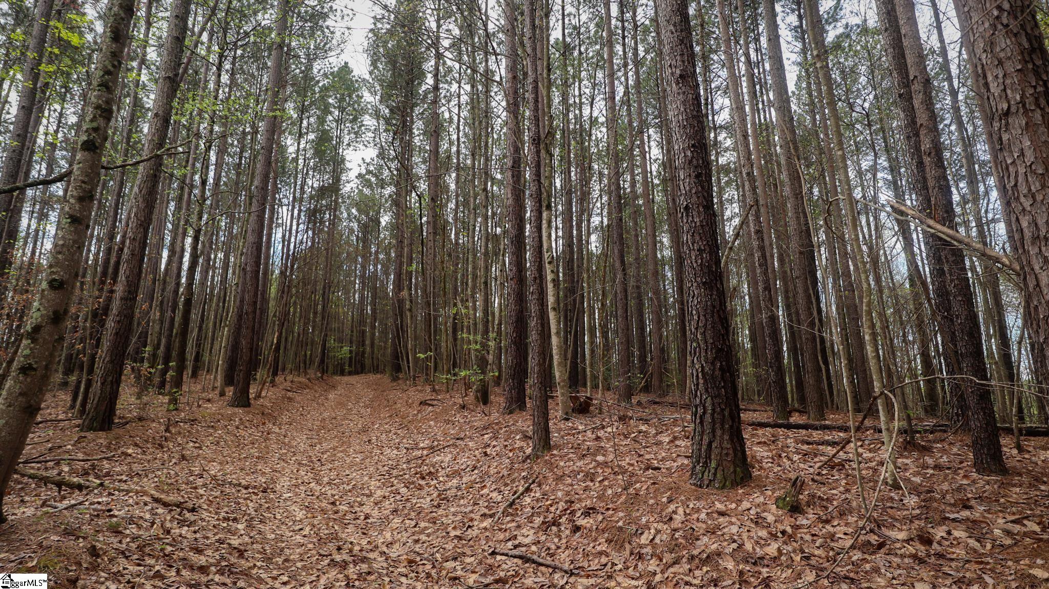 23 Belk Road Travelers Rest, SC 29690