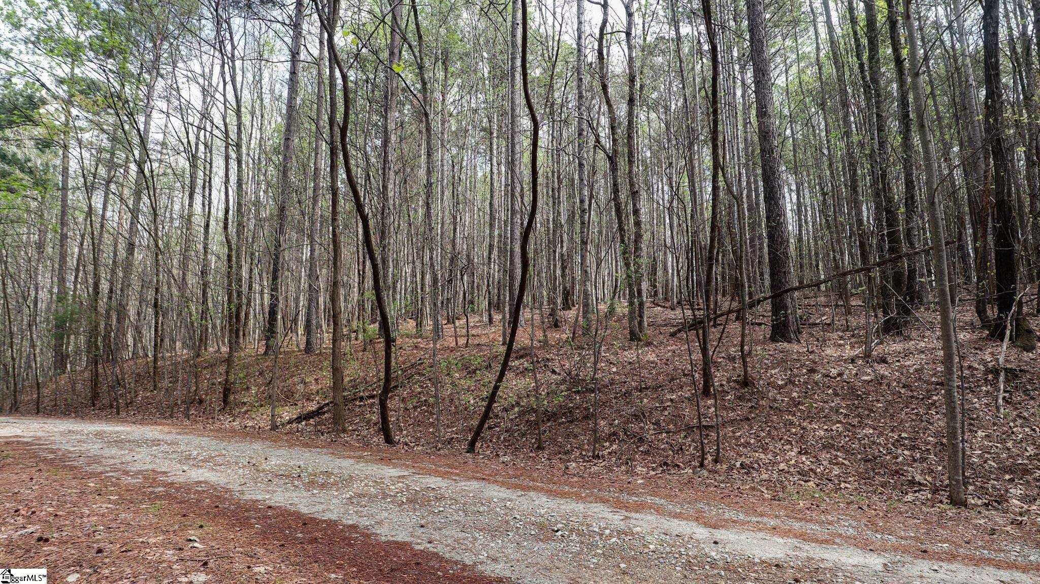 23 Belk Road Travelers Rest, SC 29690
