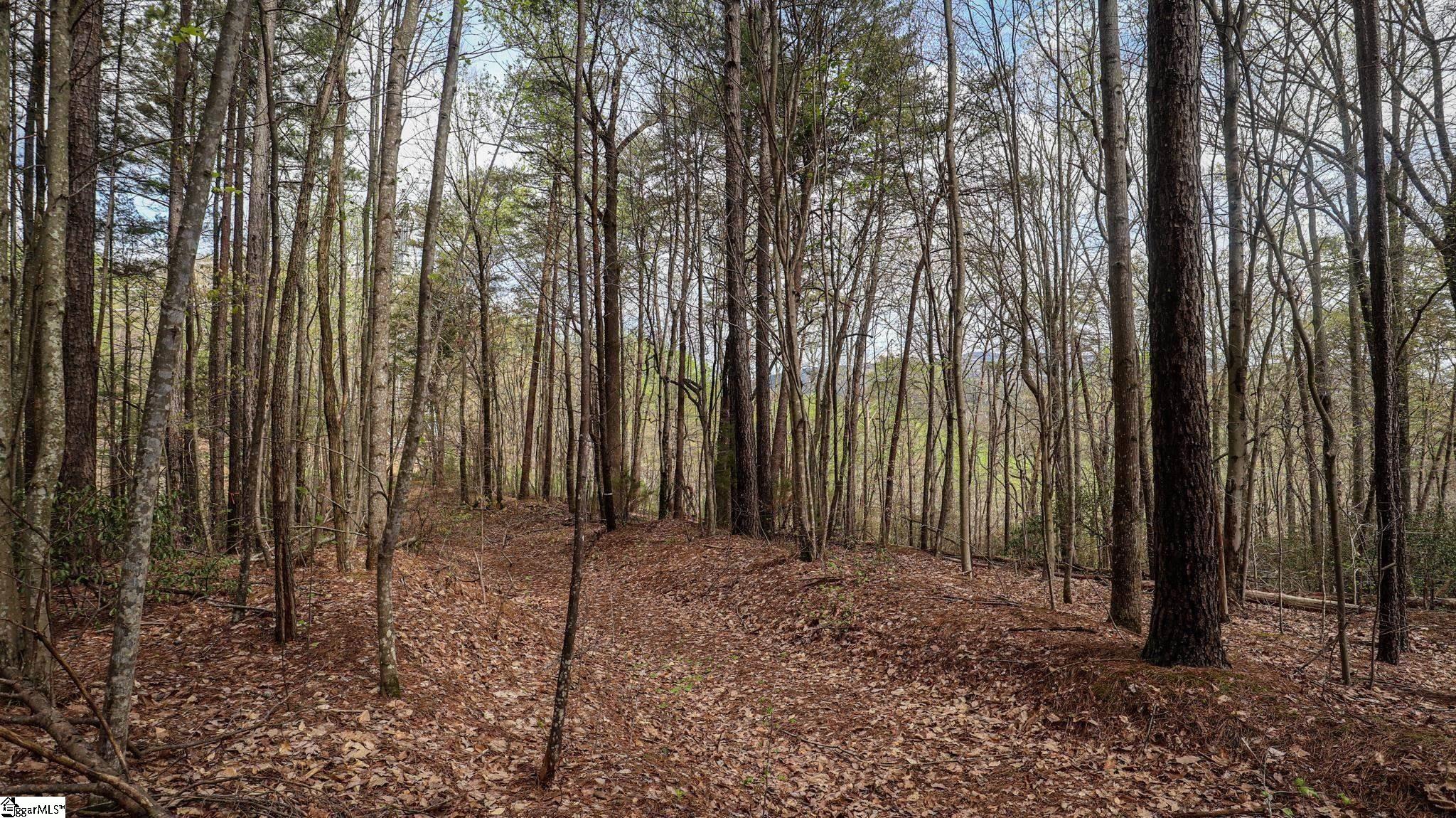 23 Belk Road Travelers Rest, SC 29690