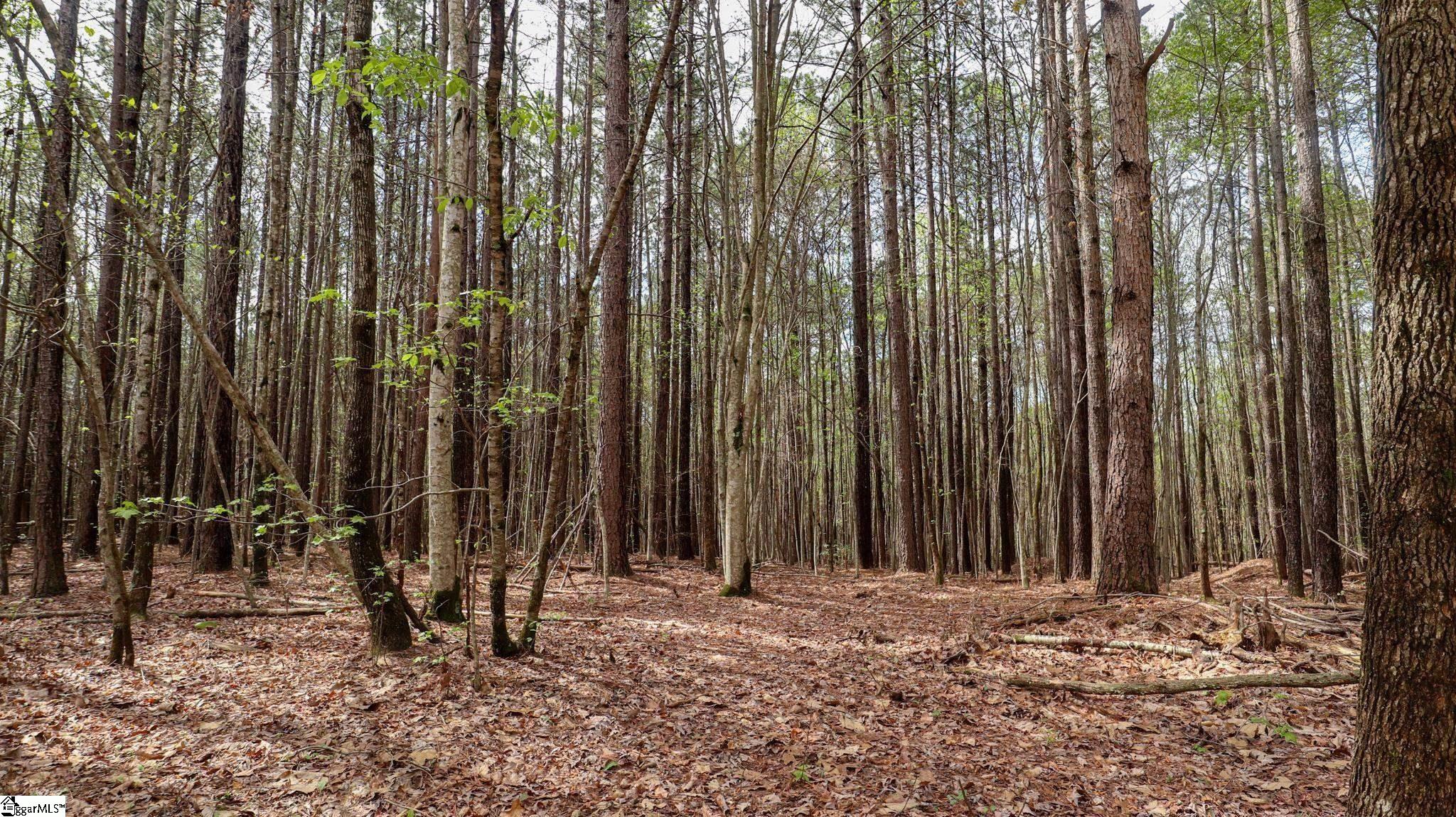 23 Belk Road Travelers Rest, SC 29690