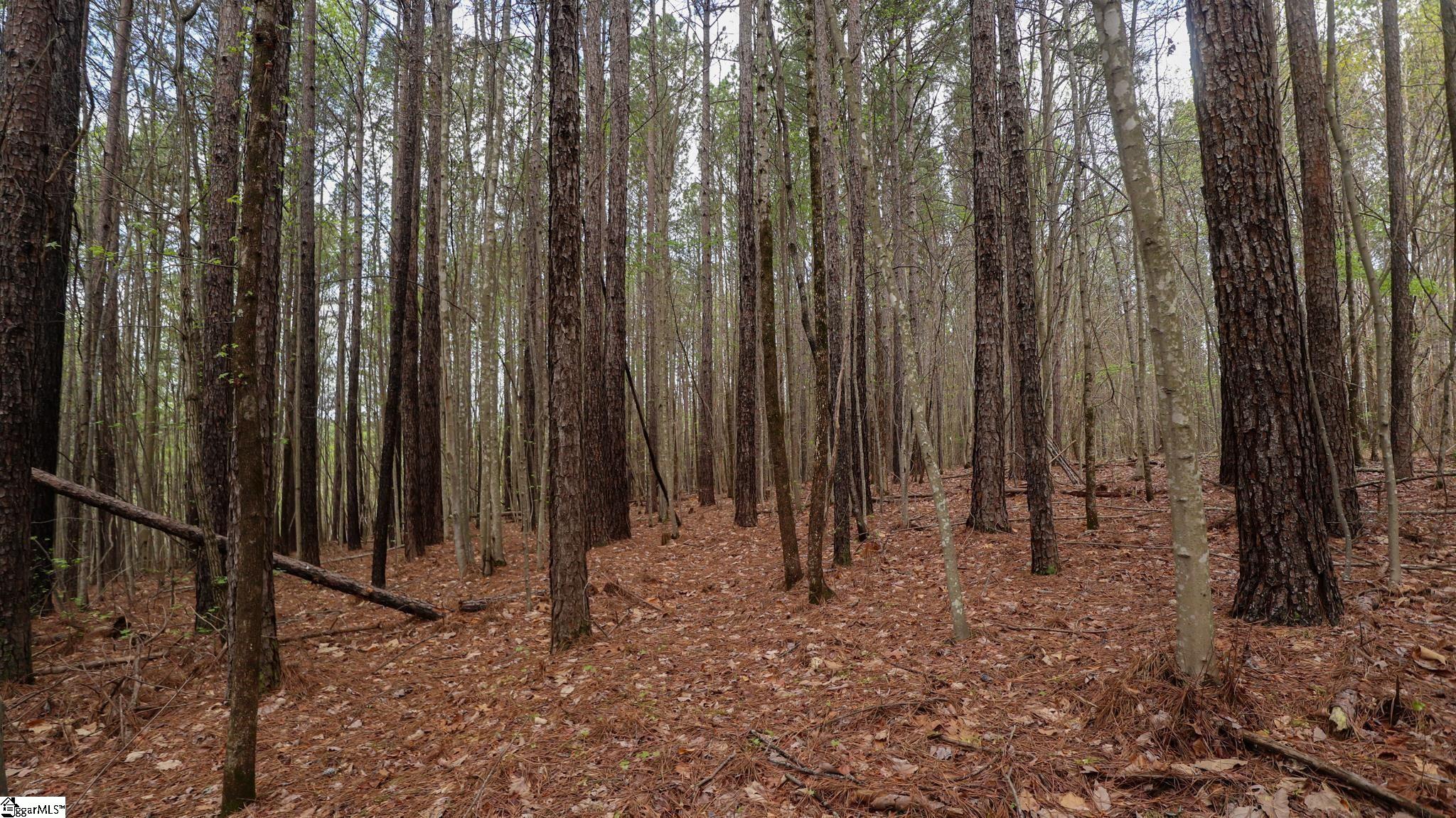 23 Belk Road Travelers Rest, SC 29690