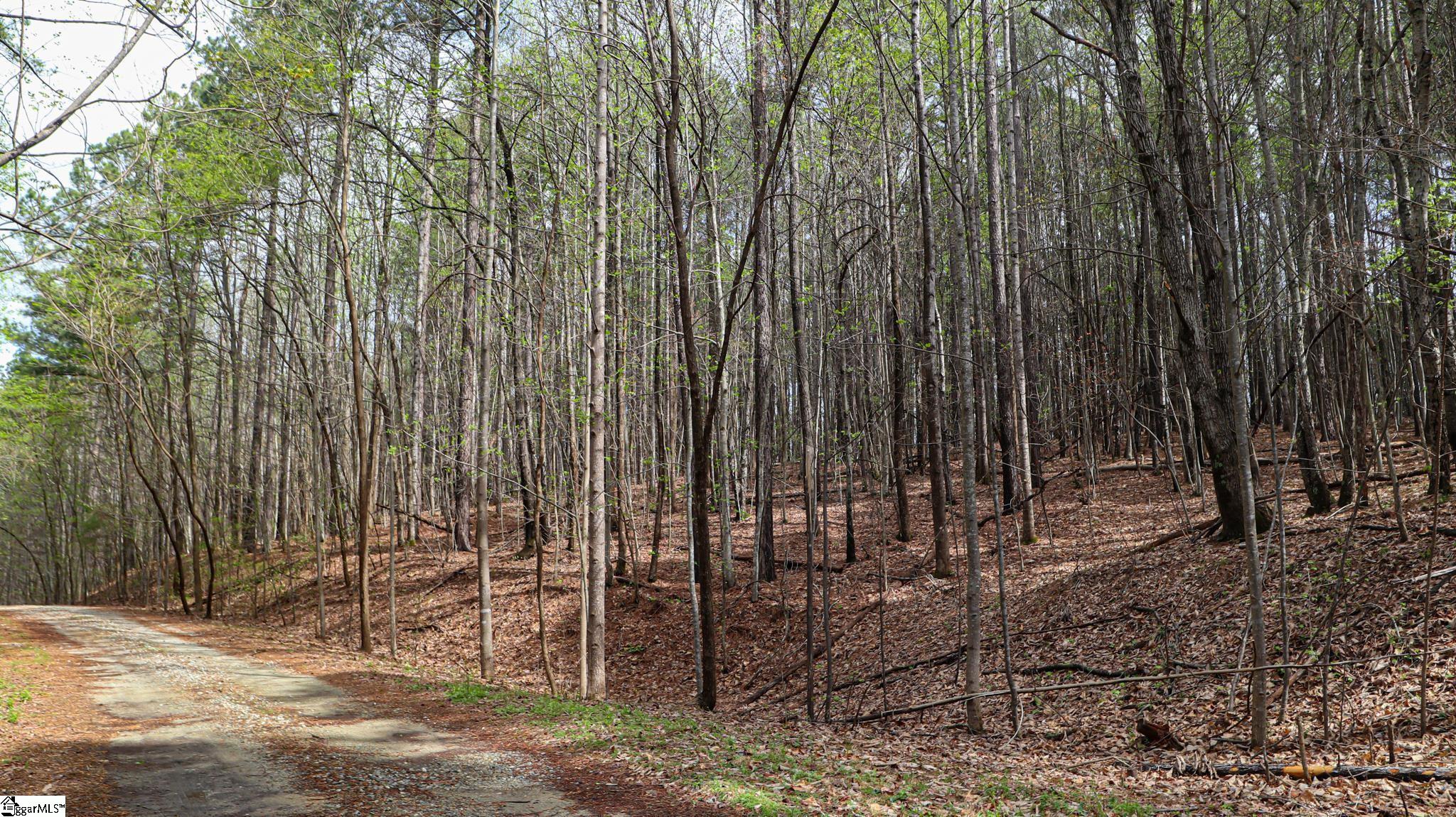 23 Belk Road Travelers Rest, SC 29690