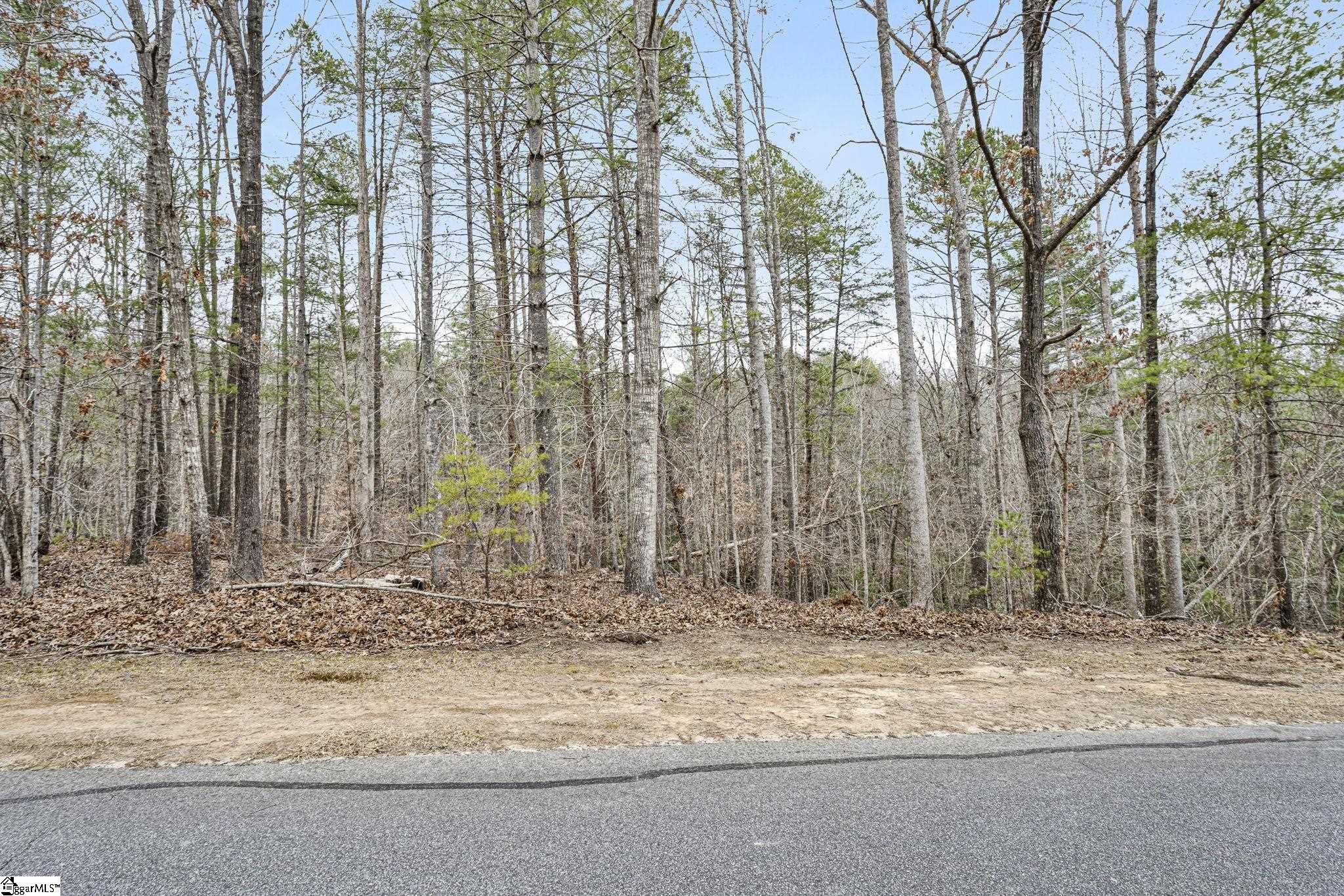 109 Wake Robin Drive Sunset, SC 29685