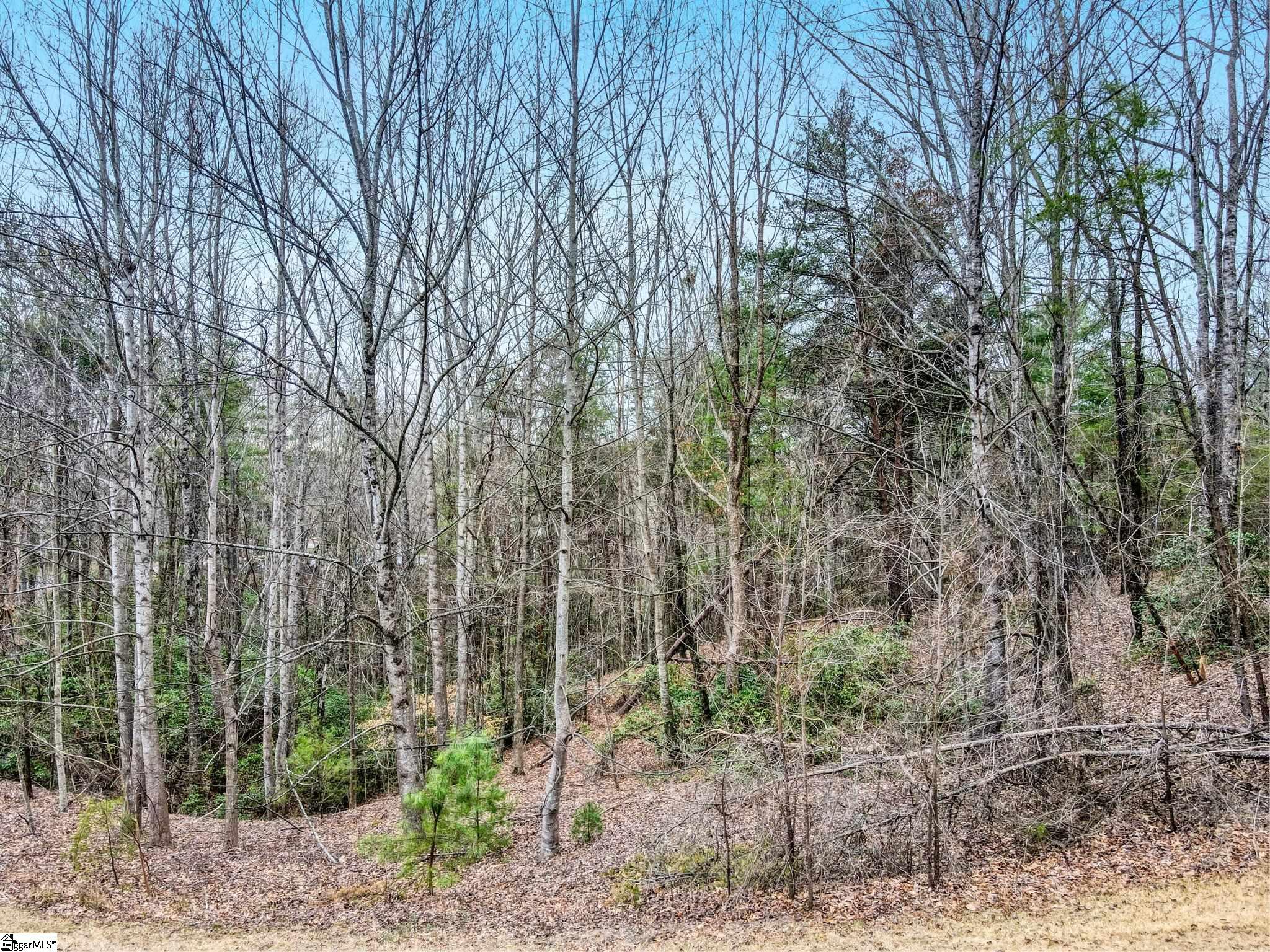 109 Wake Robin Drive Sunset, SC 29685