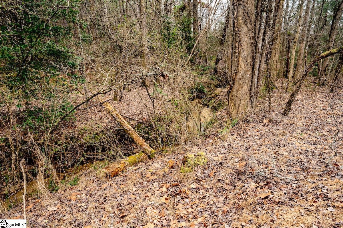 00 Dalton Road Marietta, SC 29661