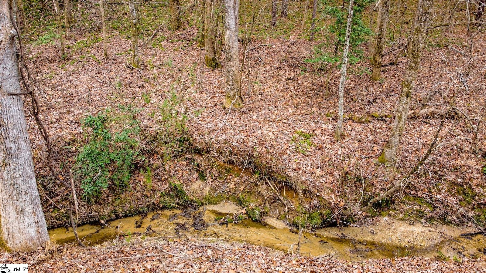 00 Dalton Road Marietta, SC 29661