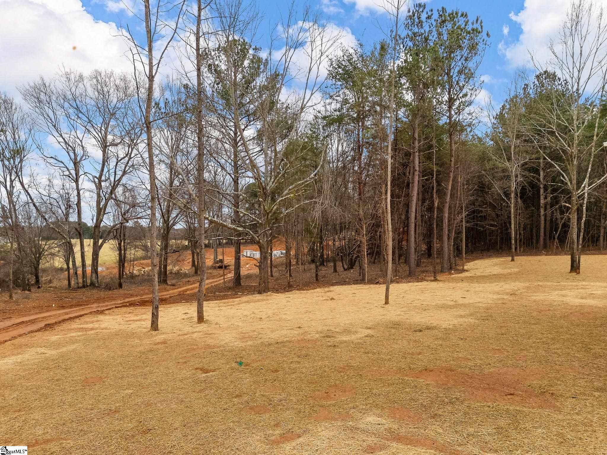 351 Little Mountain Circle Inman, SC 29349