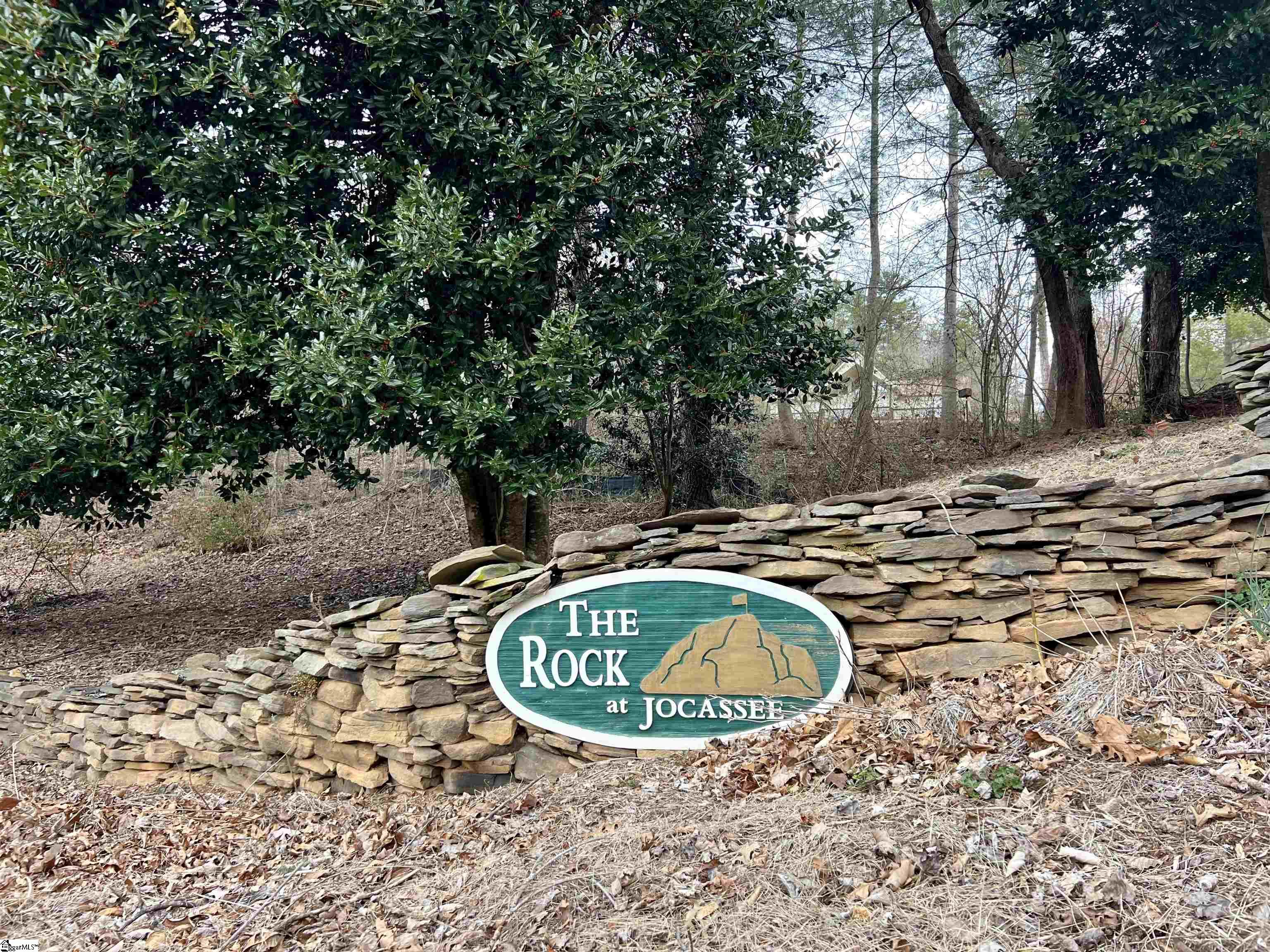 305 Falcon Crest Way Pickens, SC 29671