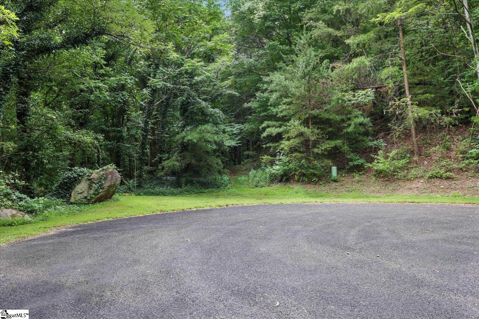234 Craggy Rock Lane Landrum, SC 29356