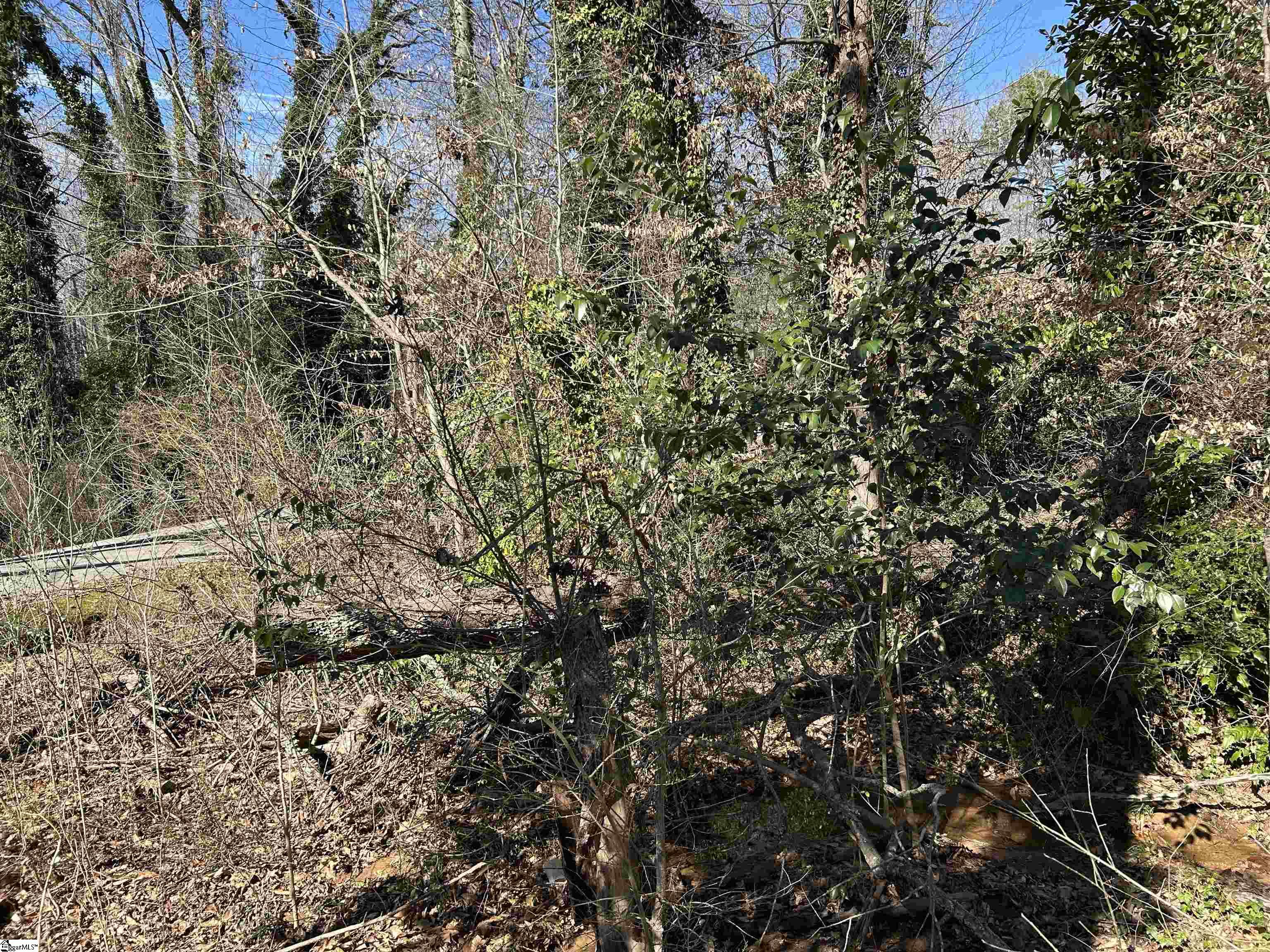 Forest Hills Drive UNIT Lot 46 Gaffney, SC 29340