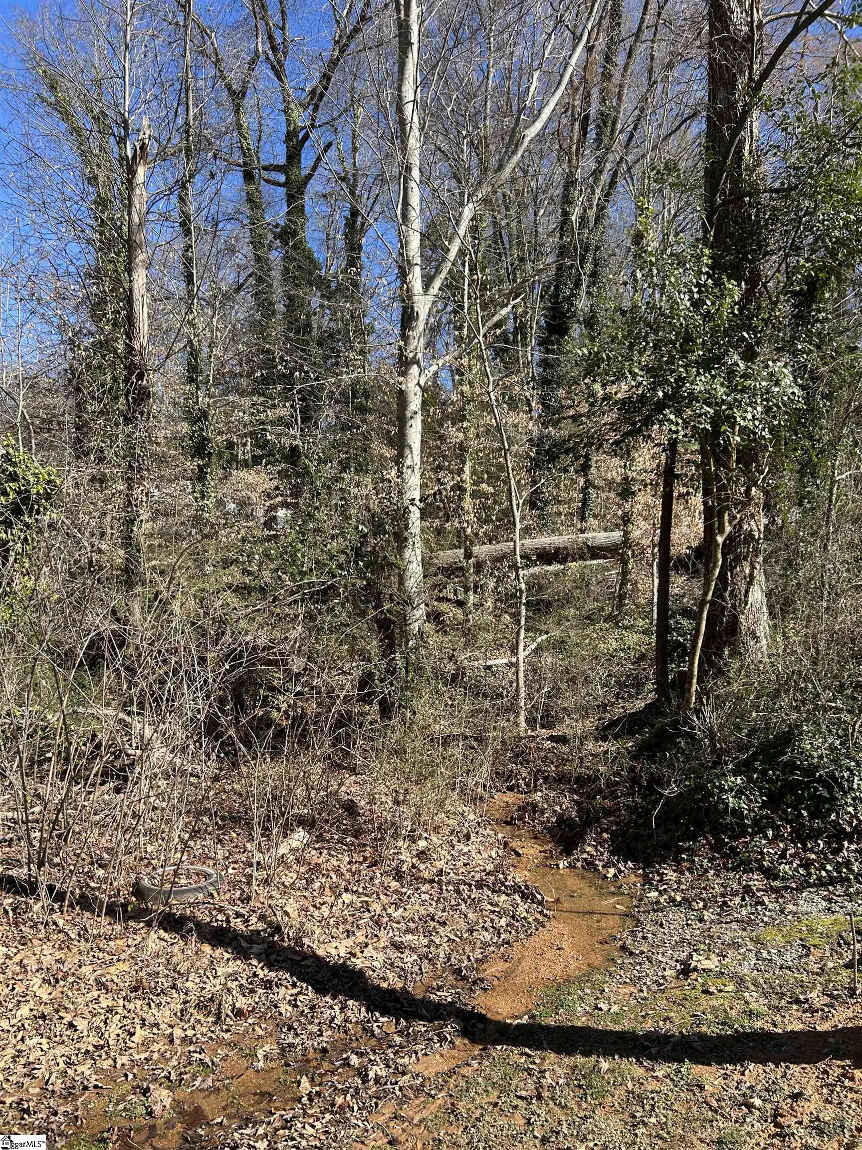 Forest Hills Drive UNIT Lot 46 Gaffney, SC 29340