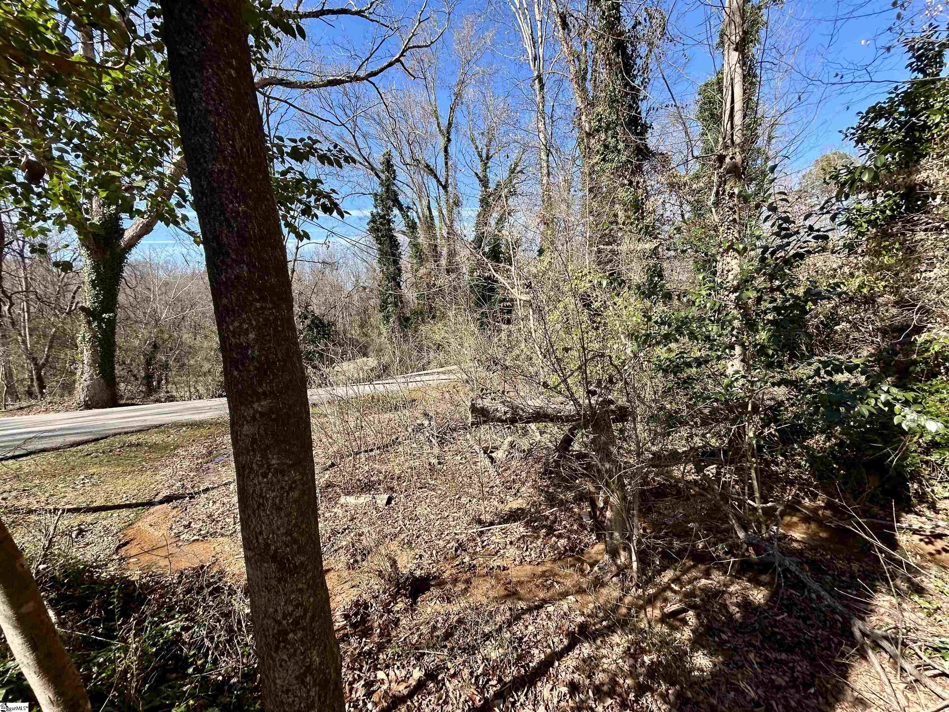 Forest Hills Drive UNIT Lot 46 Gaffney, SC 29340