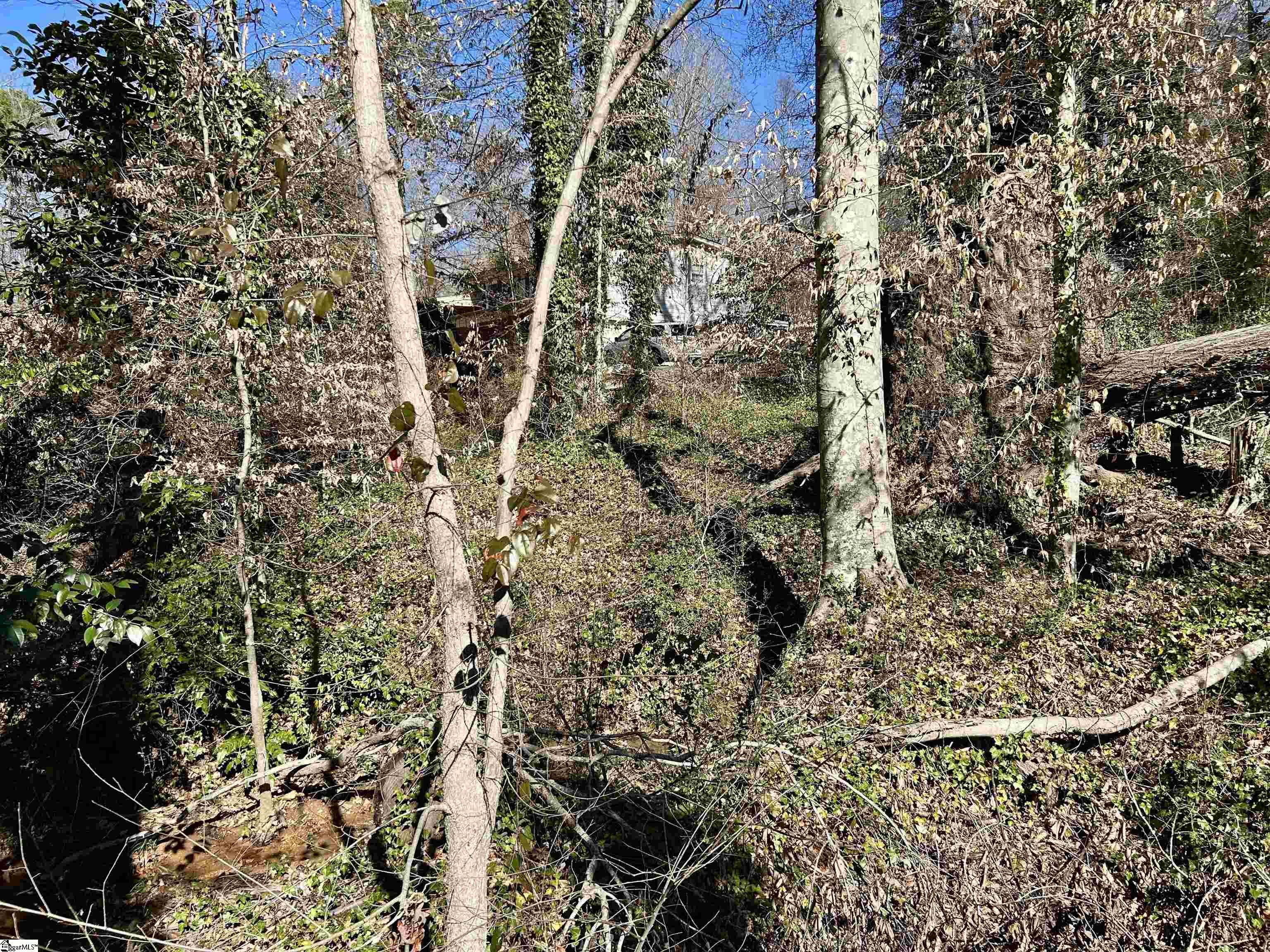 Forest Hills Drive UNIT Lot 46 Gaffney, SC 29340