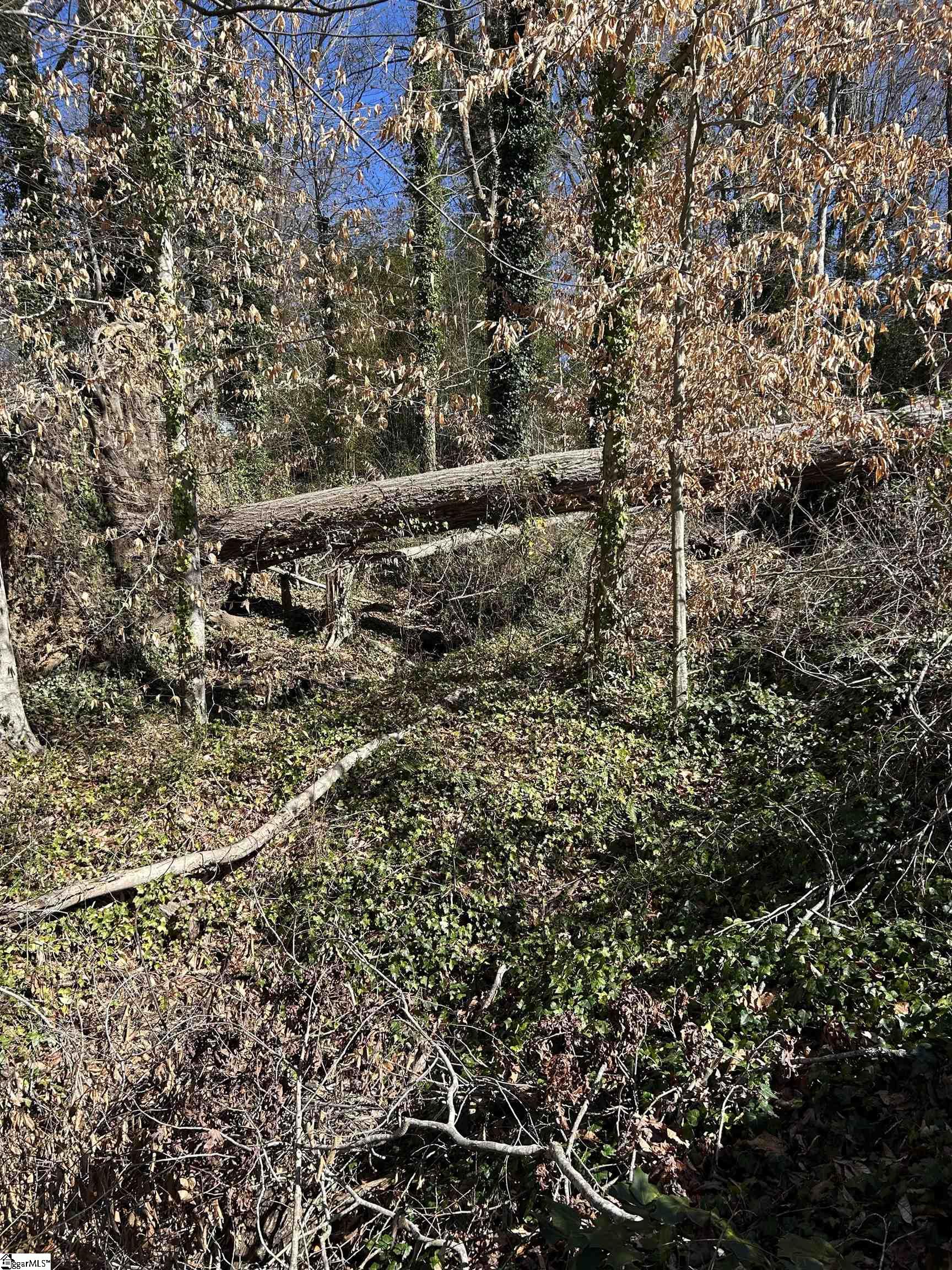 Forest Hills Drive UNIT Lot 46 Gaffney, SC 29340