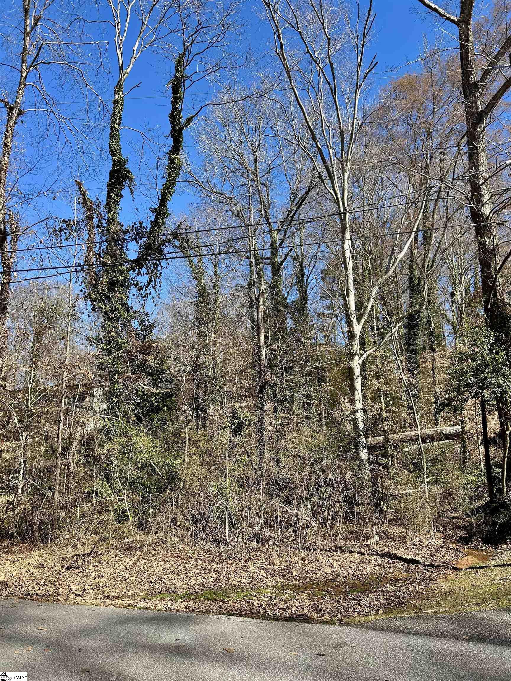 Forest Hills Drive UNIT Lot 46 Gaffney, SC 29340