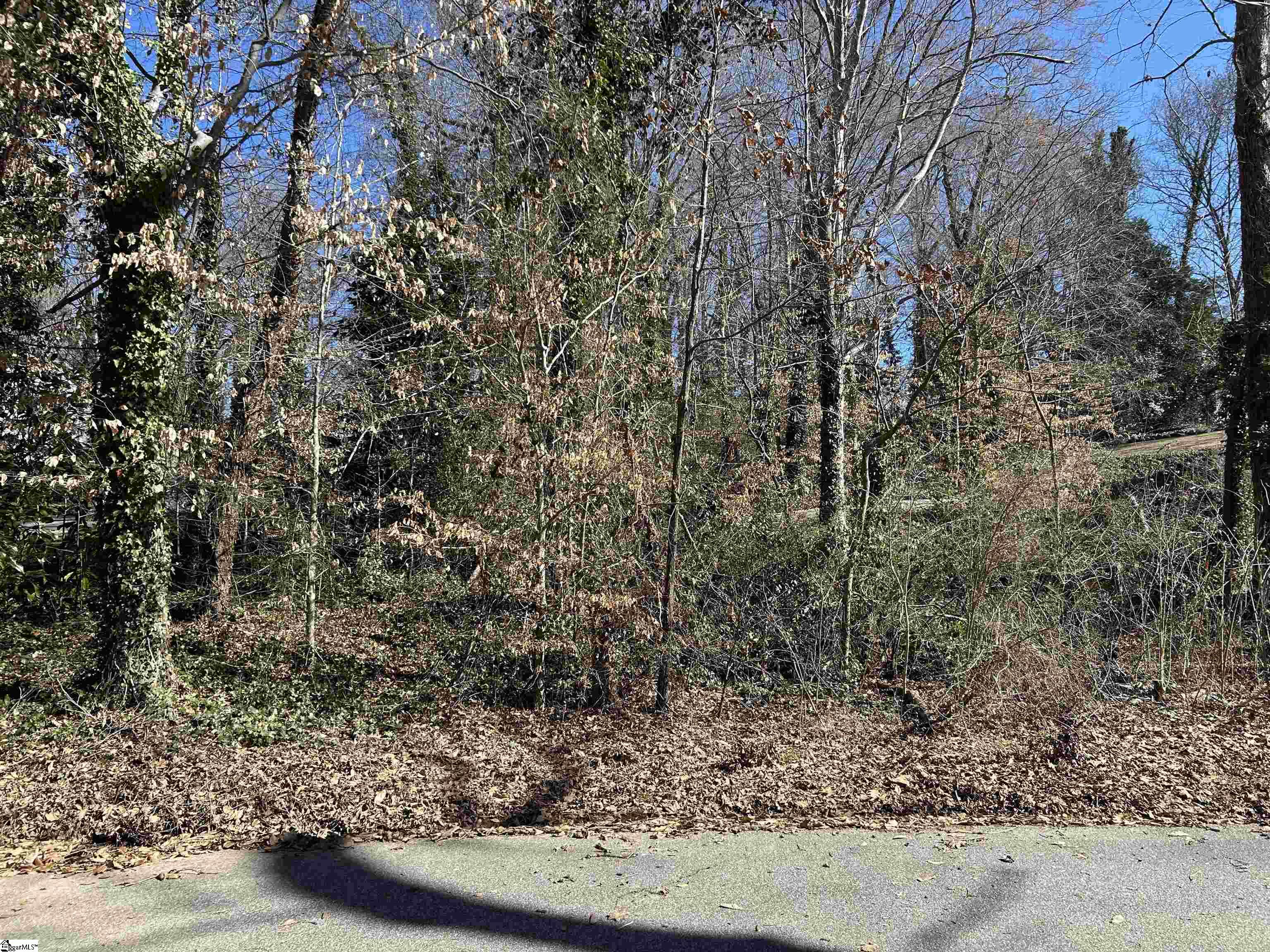 Forest Hills Drive UNIT Lot 46 Gaffney, SC 29340