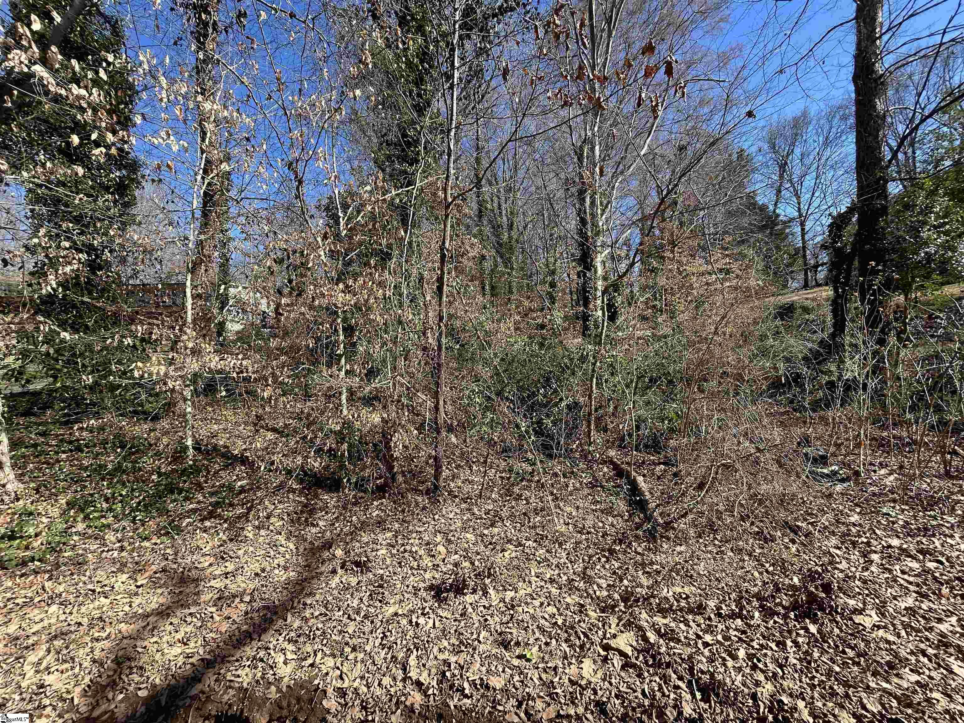 Forest Hills Drive UNIT Lot 46 Gaffney, SC 29340