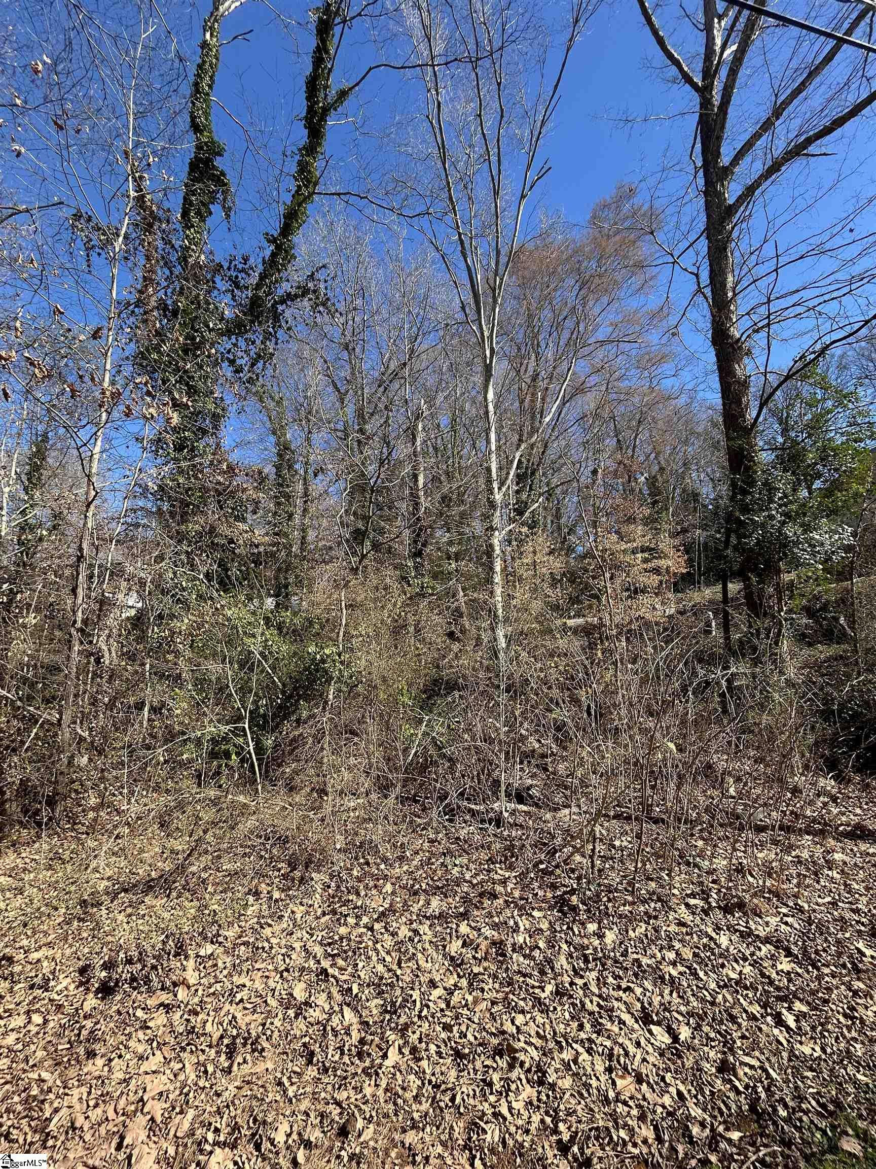 Forest Hills Drive UNIT Lot 46 Gaffney, SC 29340
