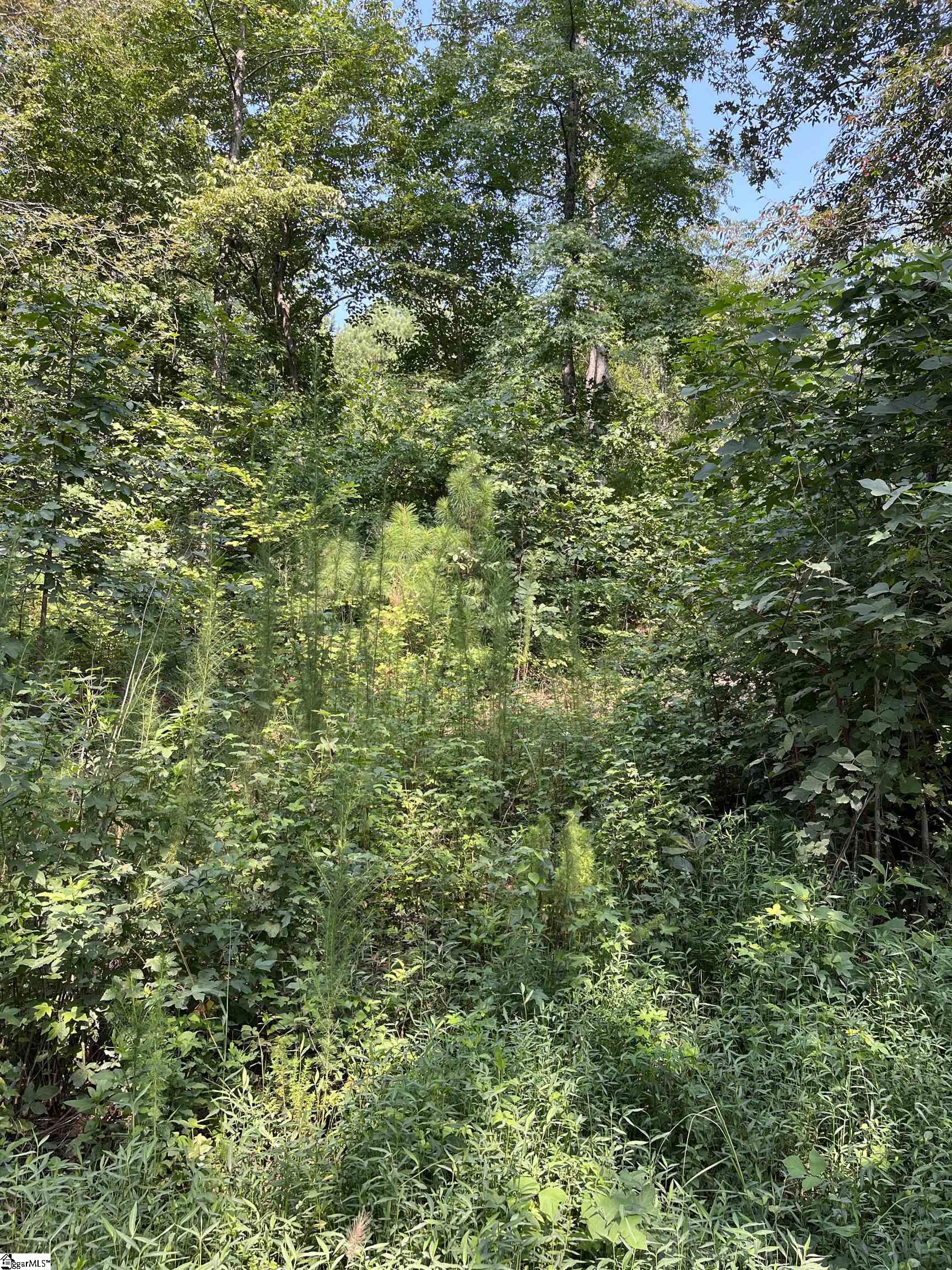 Riverbend Road UNIT Lot 61 Fair Play, SC 29643