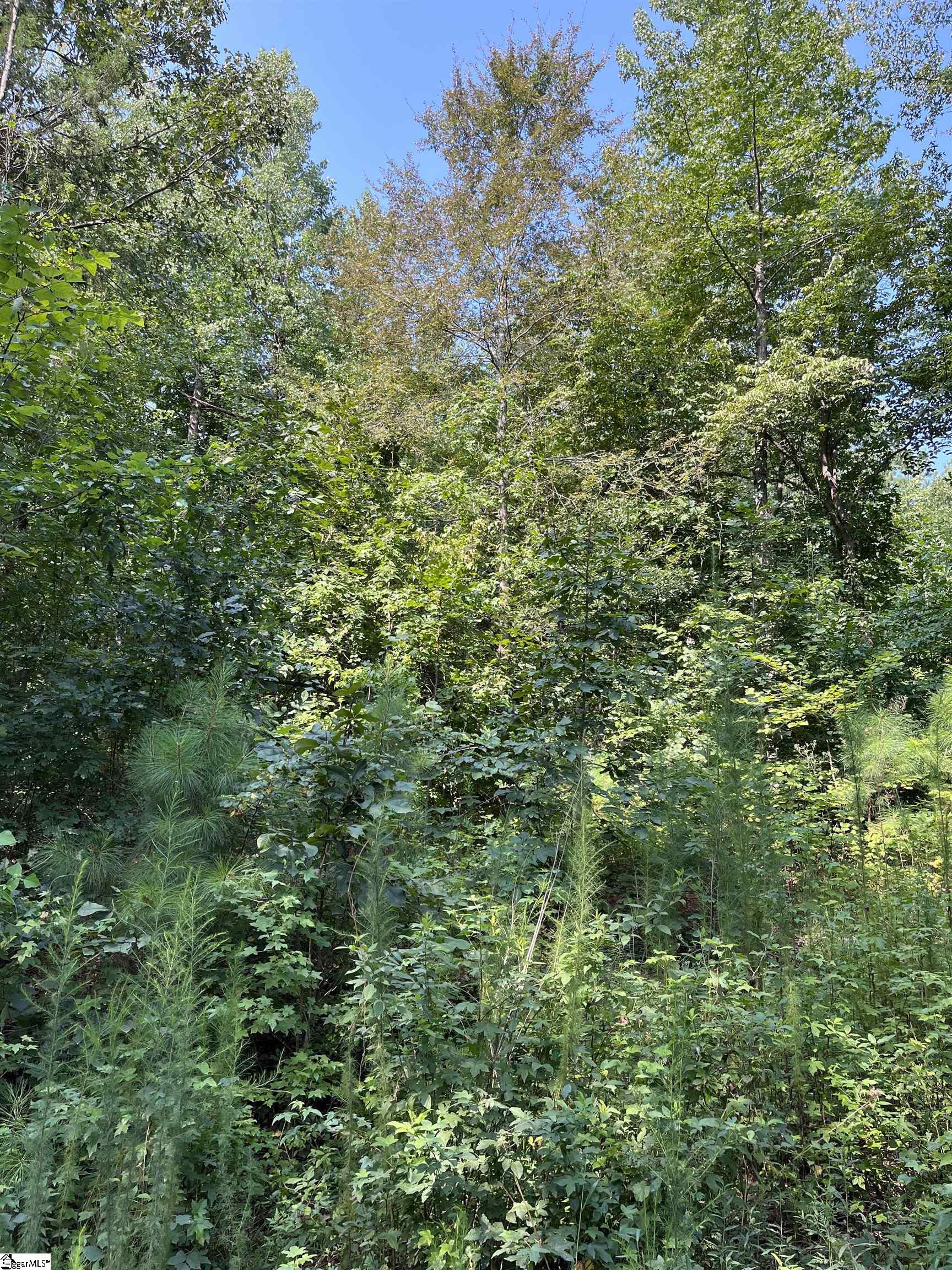 Riverbend Road UNIT Lot 61 Fair Play, SC 29643