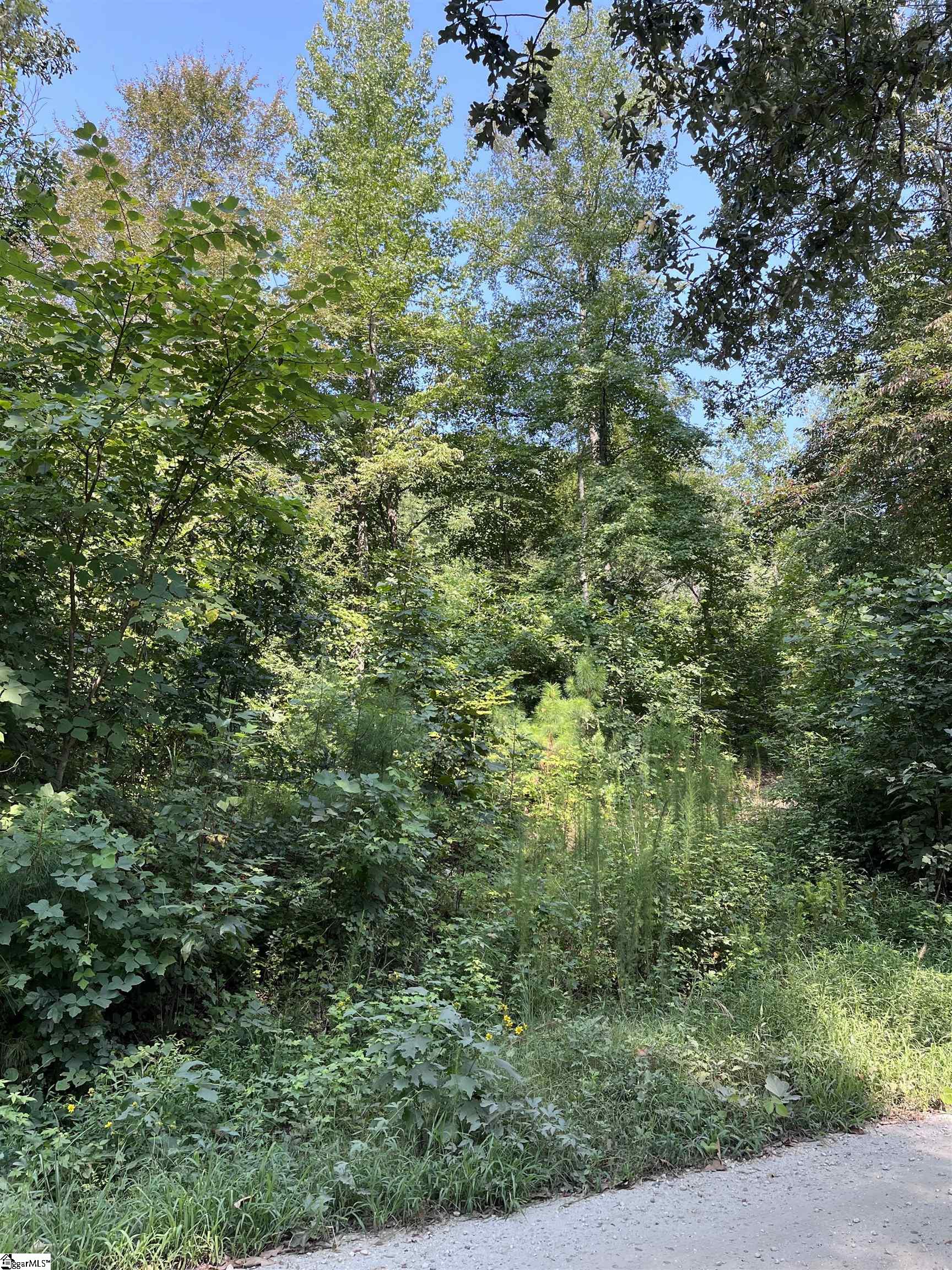 Riverbend Road UNIT Lot 61 Fair Play, SC 29643