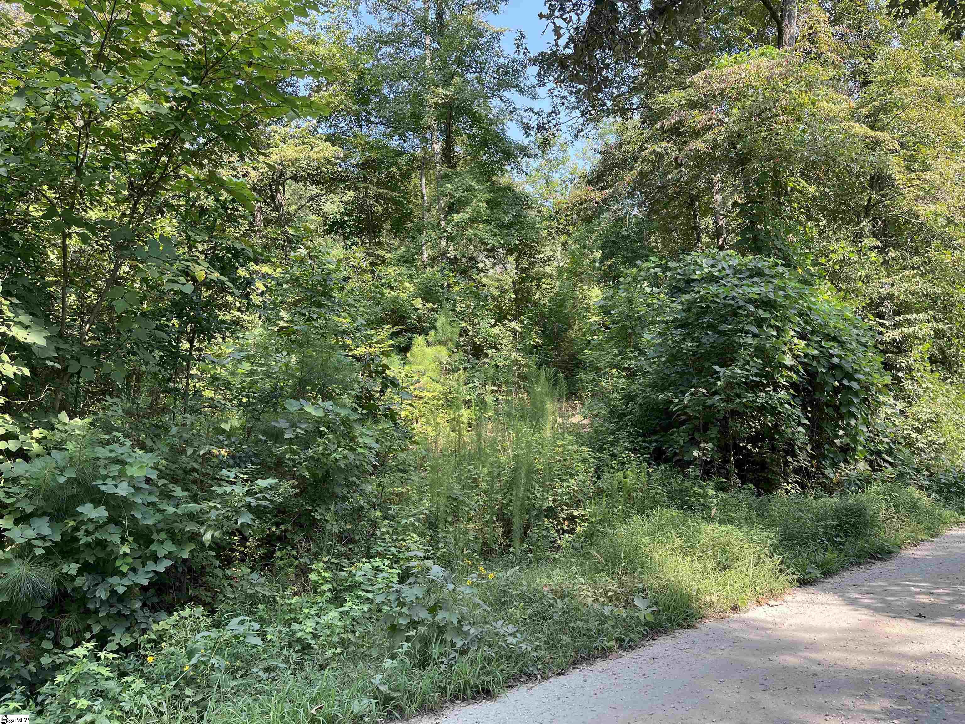 Riverbend Road UNIT Lot 61 Fair Play, SC 29643