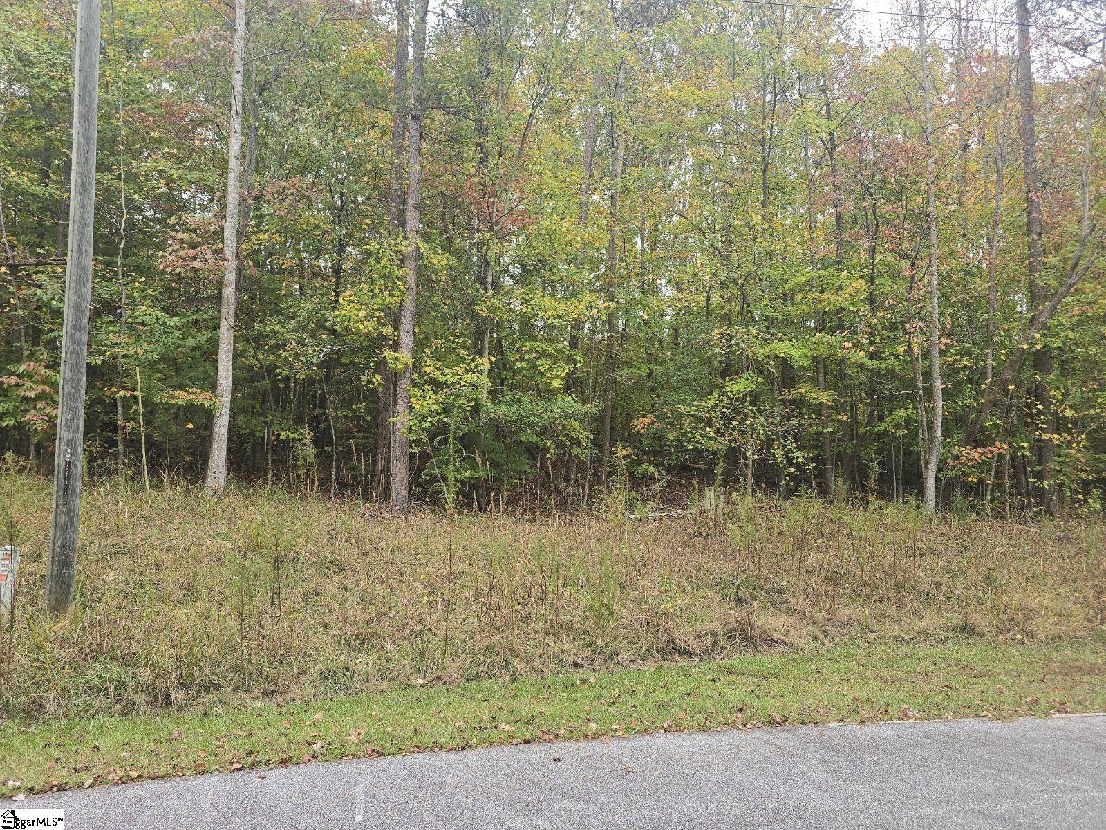 00 Birch Court Westminster, SC 29693
