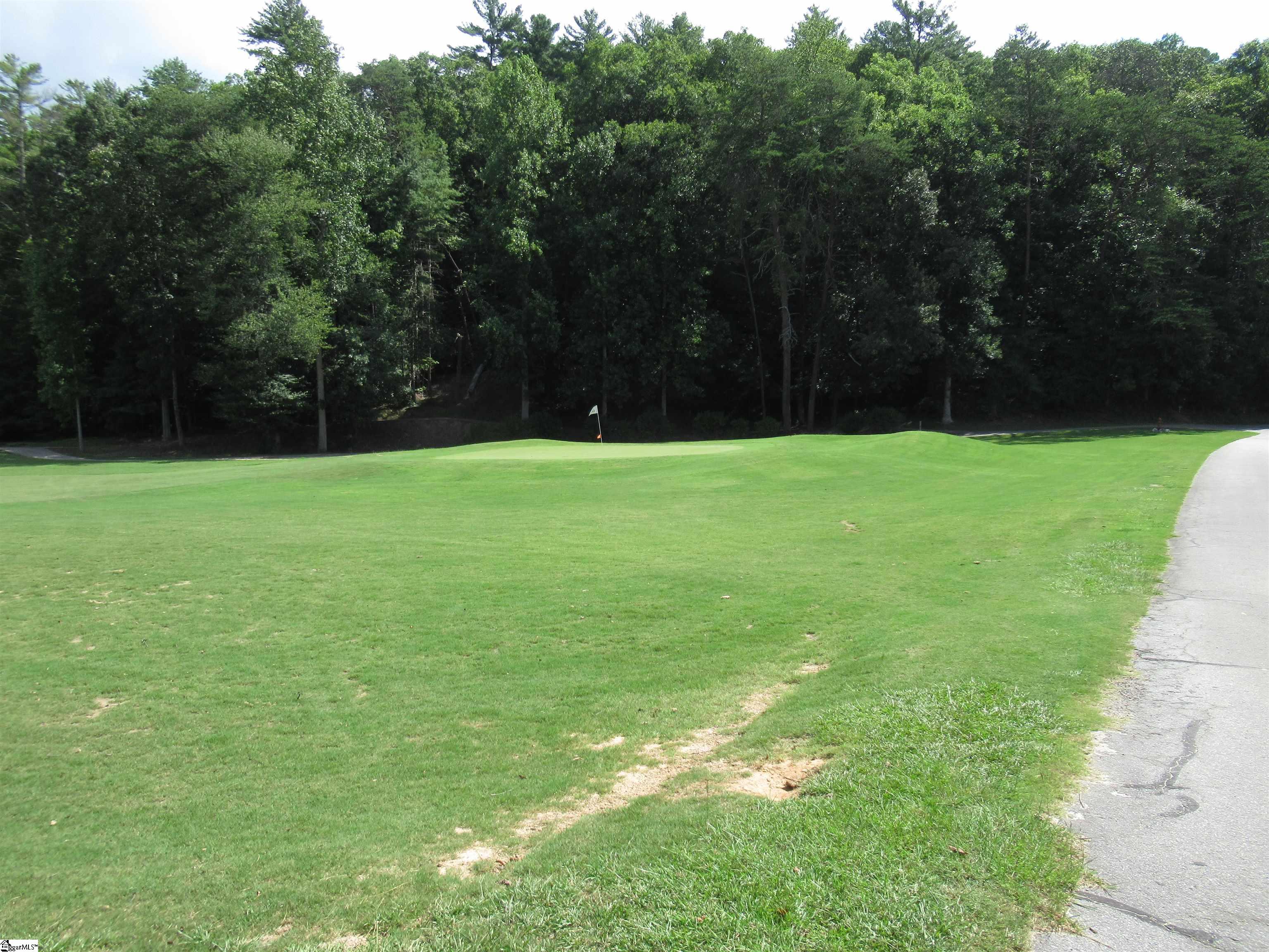 113 Hambys Way Pickens, SC 29671