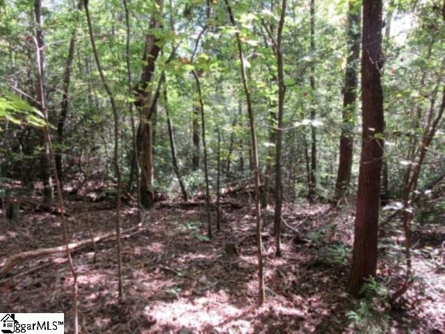 113 Hambys Way Pickens, SC 29671