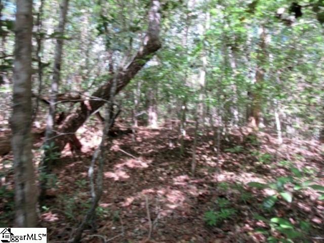 113 Hambys Way Pickens, SC 29671