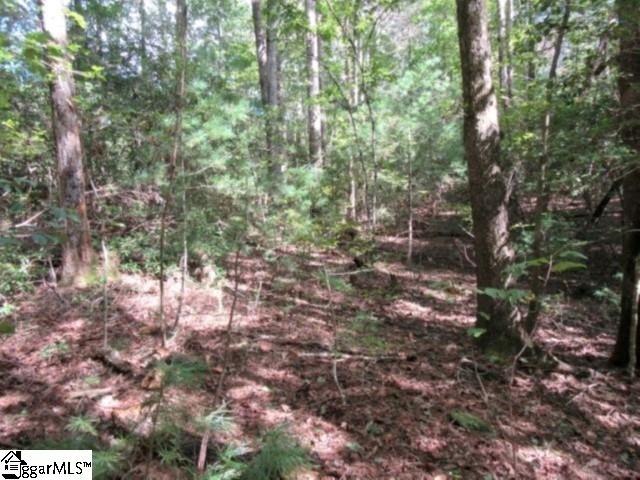 113 Hambys Way Pickens, SC 29671